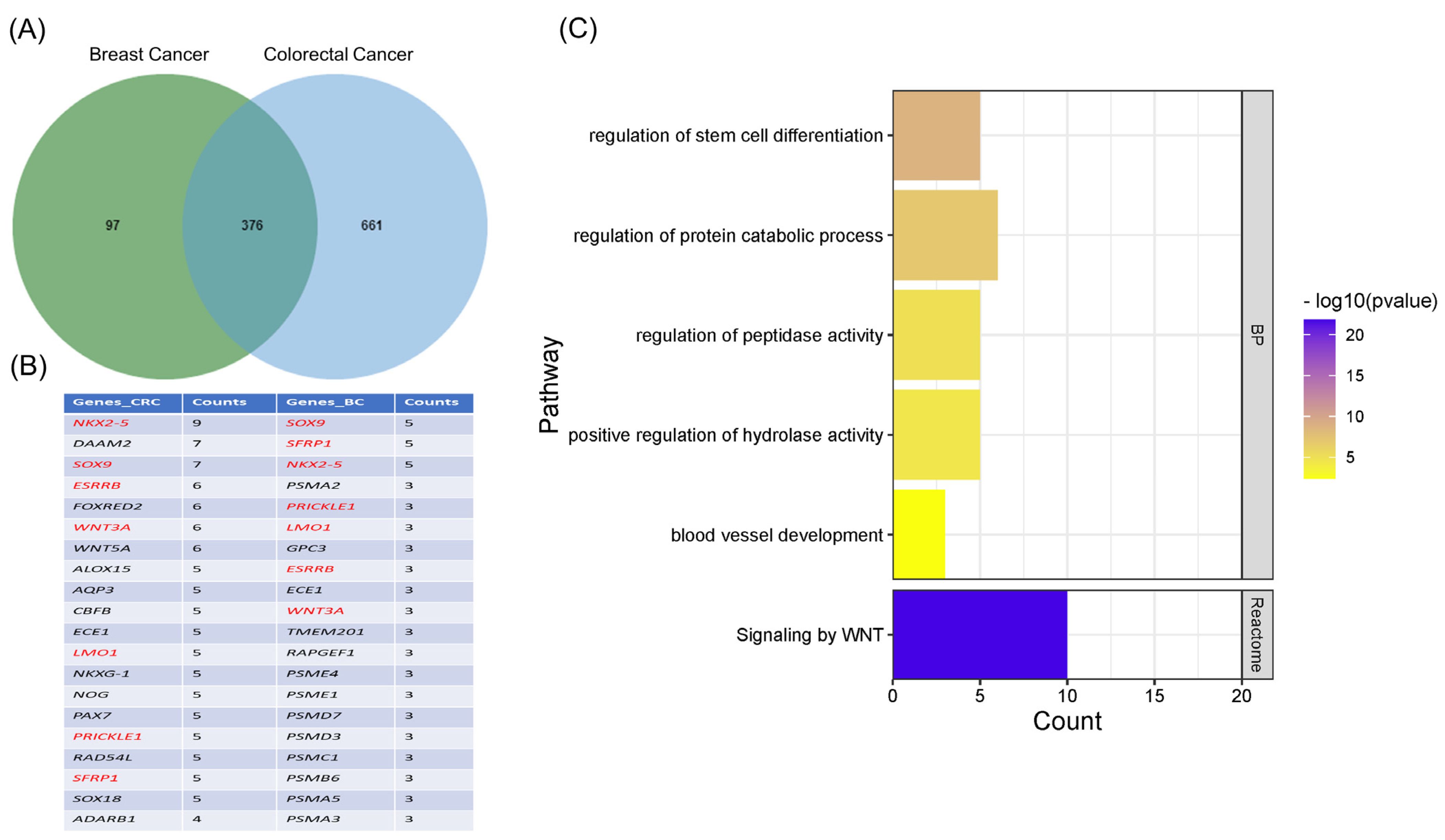 Cancers 15 00130 g007