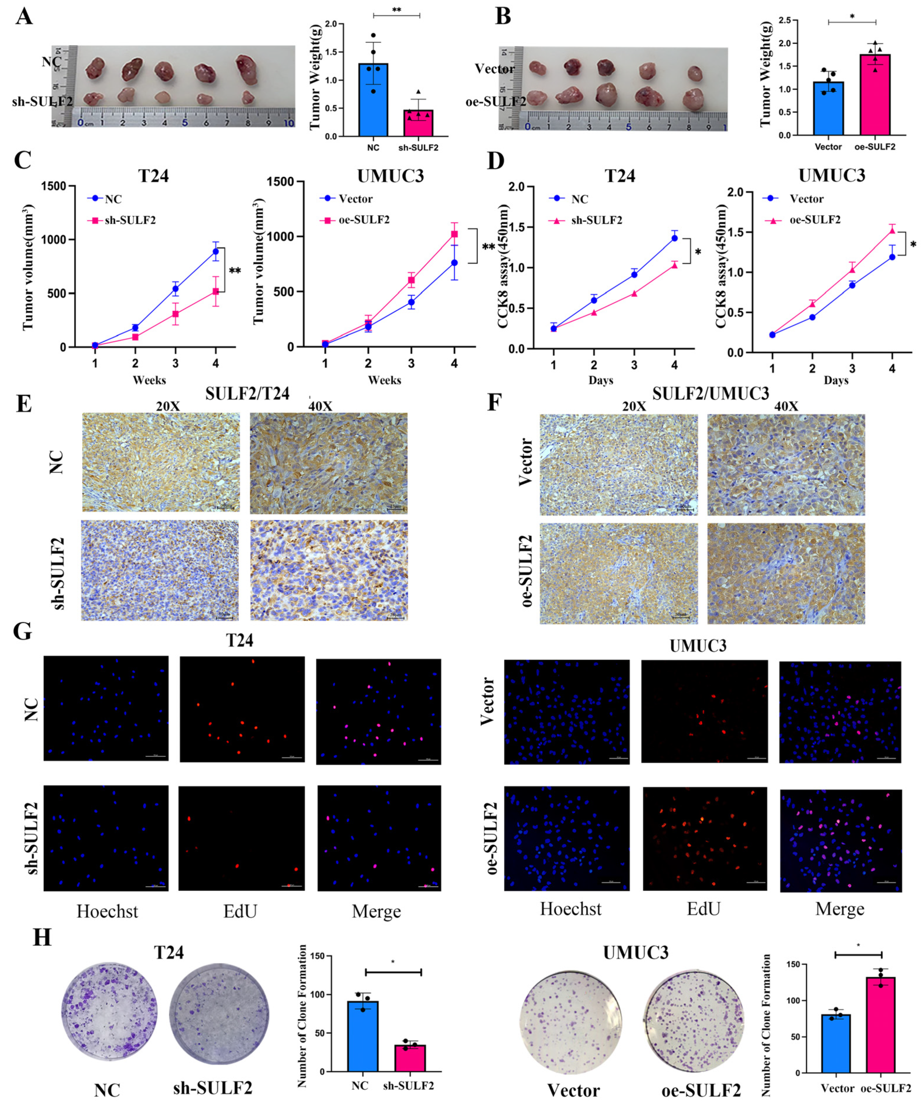 Cancers 15 00131 g003 Cancers 15 00131 g003
