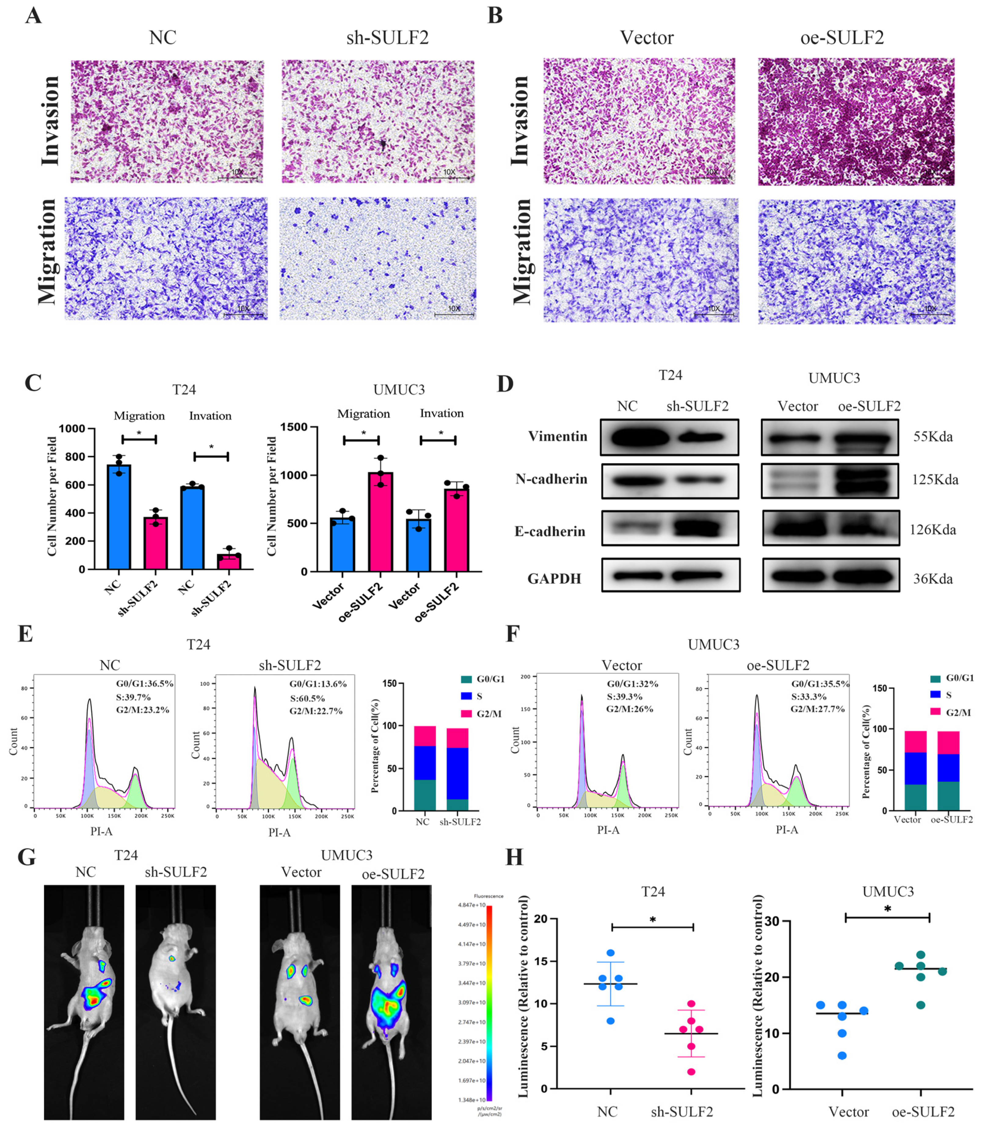Cancers 15 00131 g004 Cancers 15 00131 g004