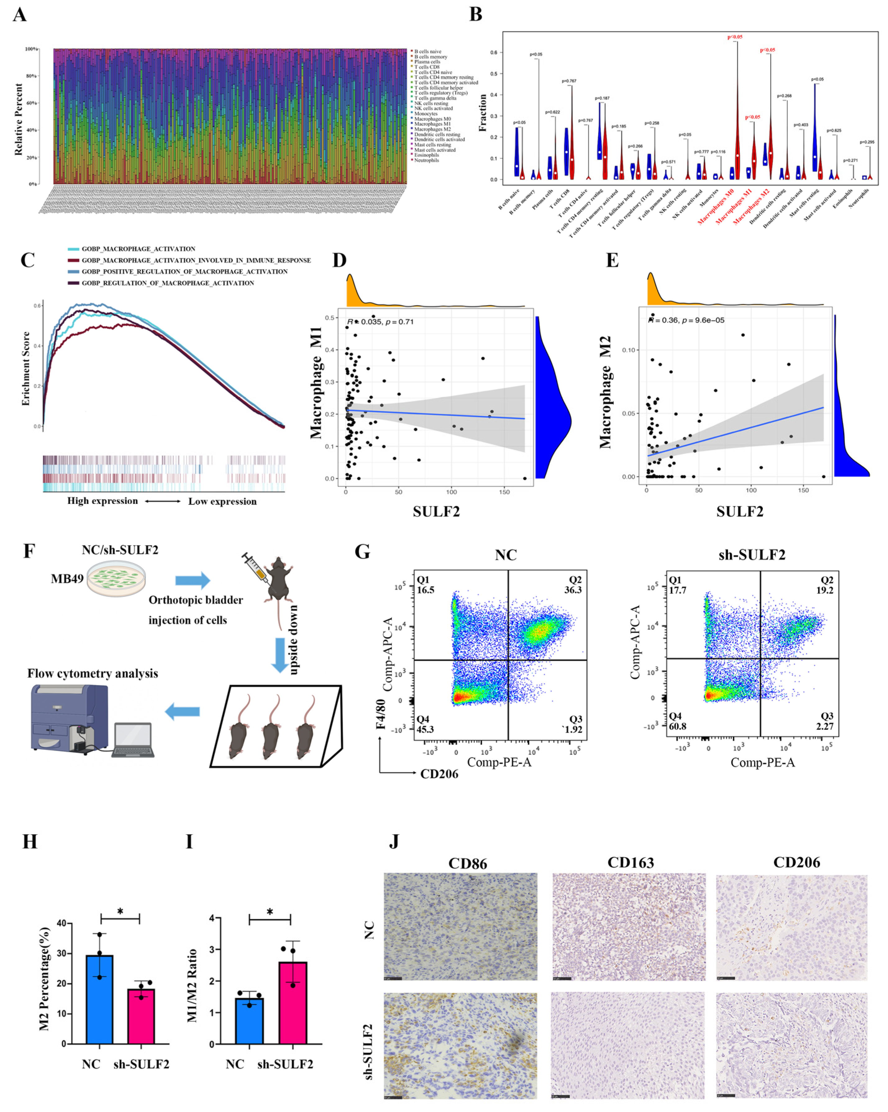 Cancers 15 00131 g005 Cancers 15 00131 g005
