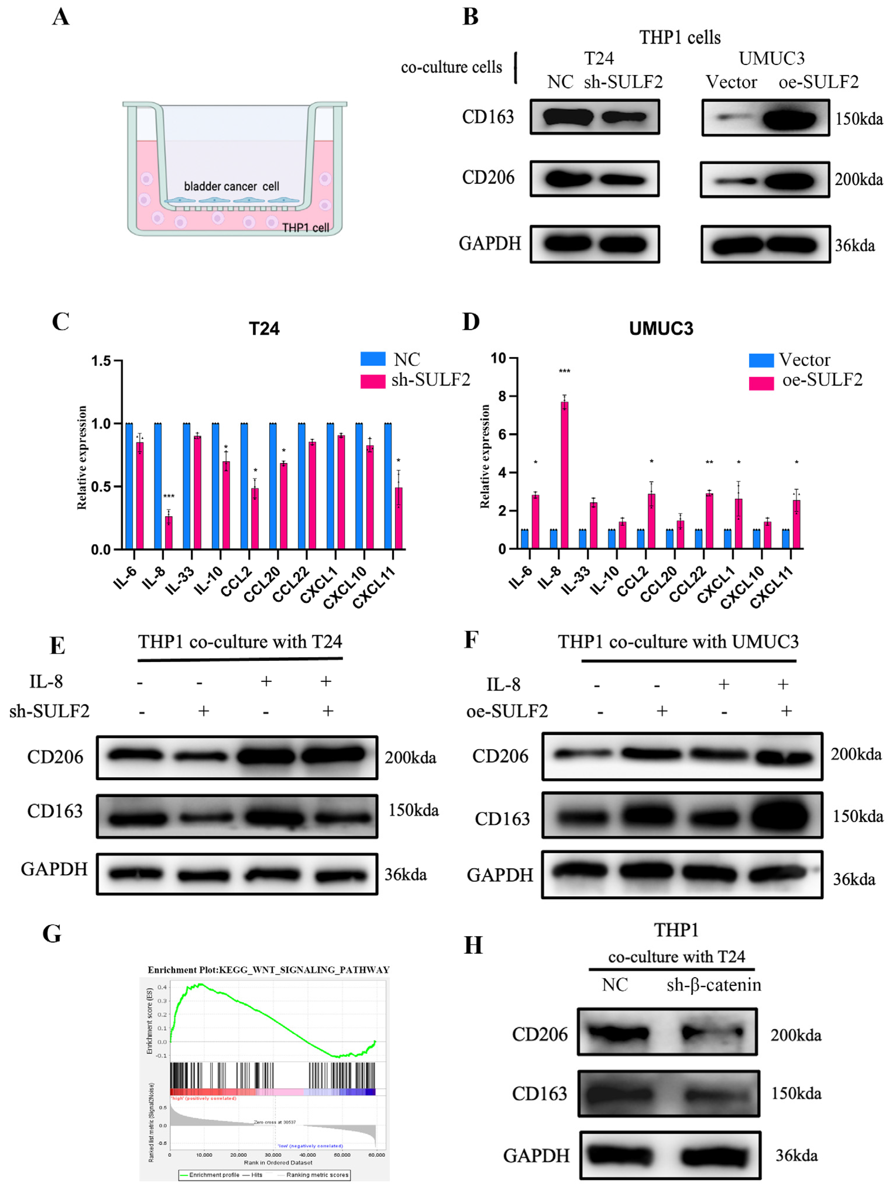 Cancers 15 00131 g006 Cancers 15 00131 g006