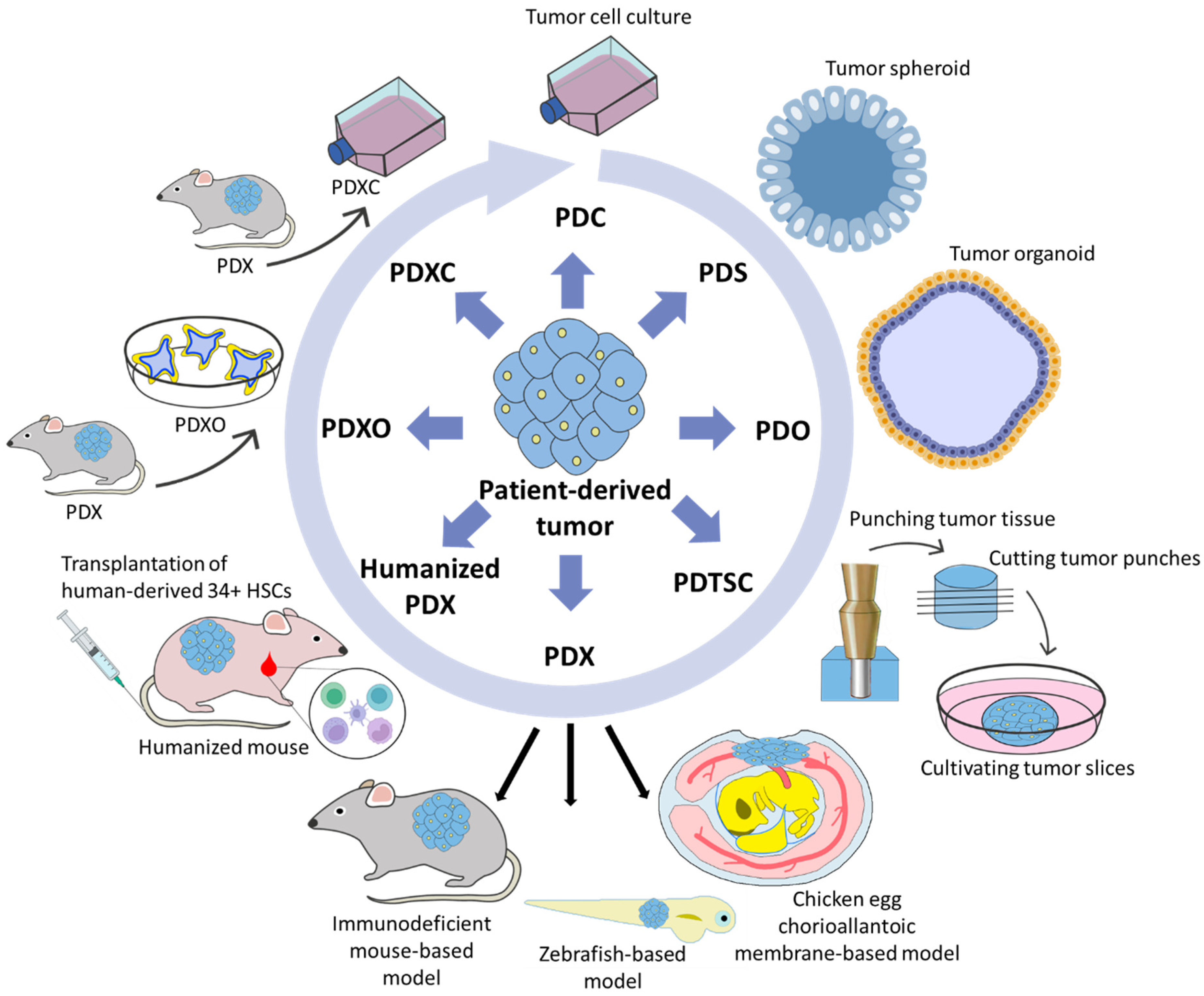Cancers 15 00139 g002 Cancers 15 00139 g002