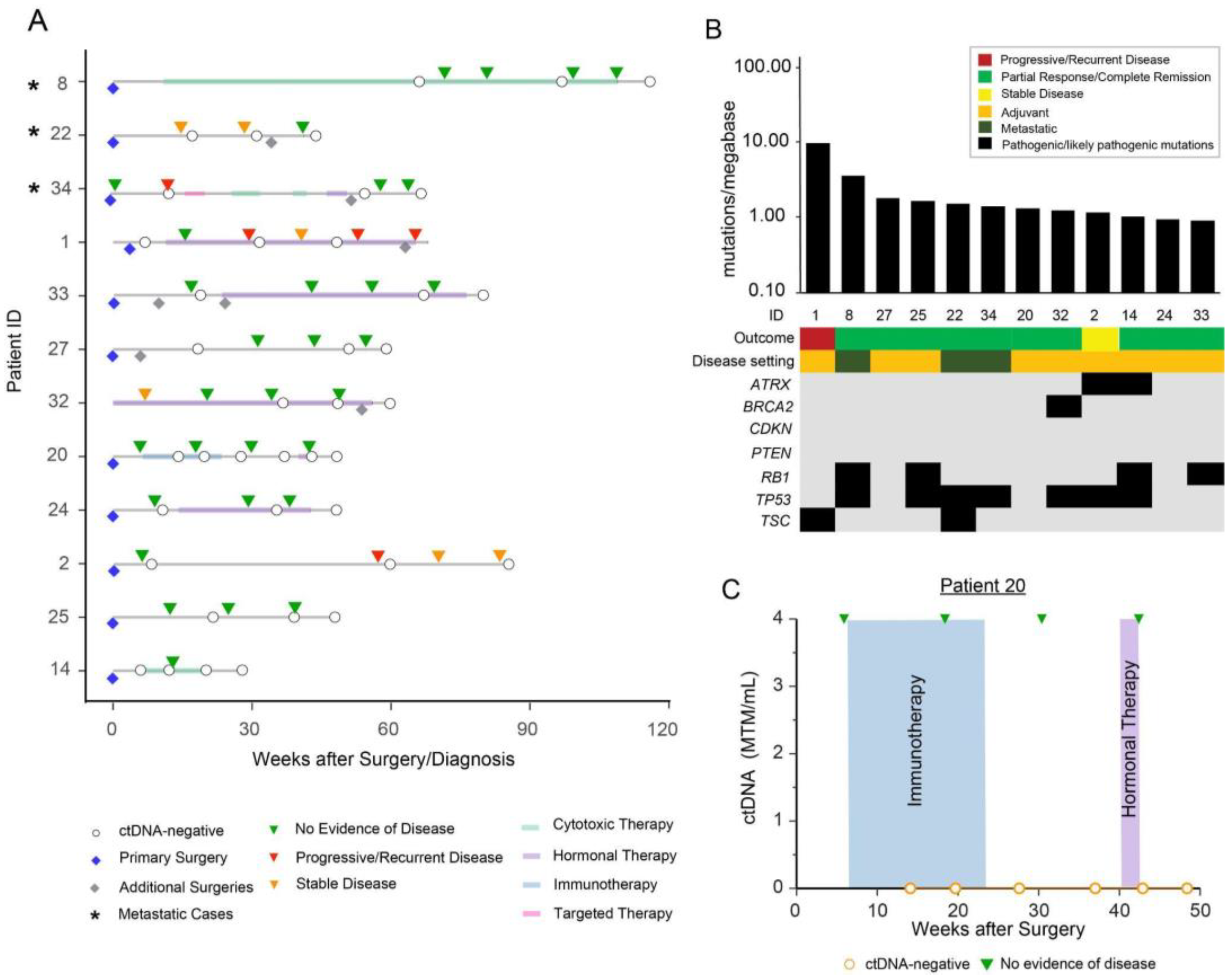 Cancers 15 00157 g001 Cancers 15 00157 g001