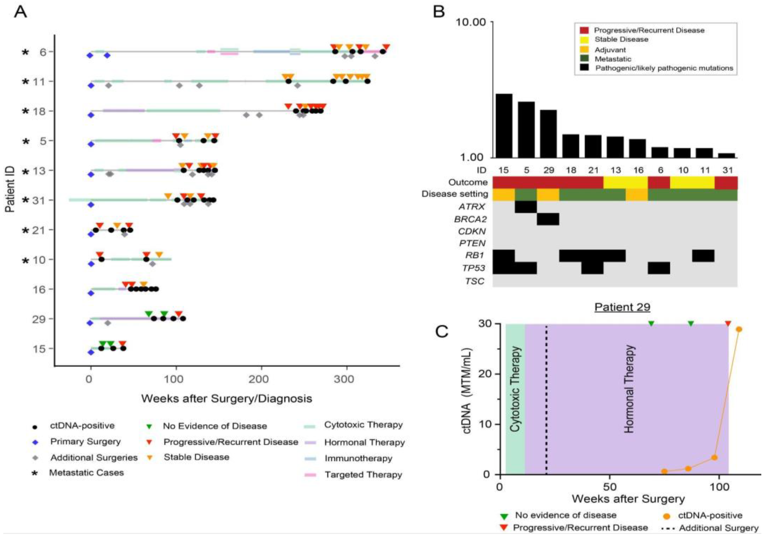 Cancers 15 00157 g003 Cancers 15 00157 g003