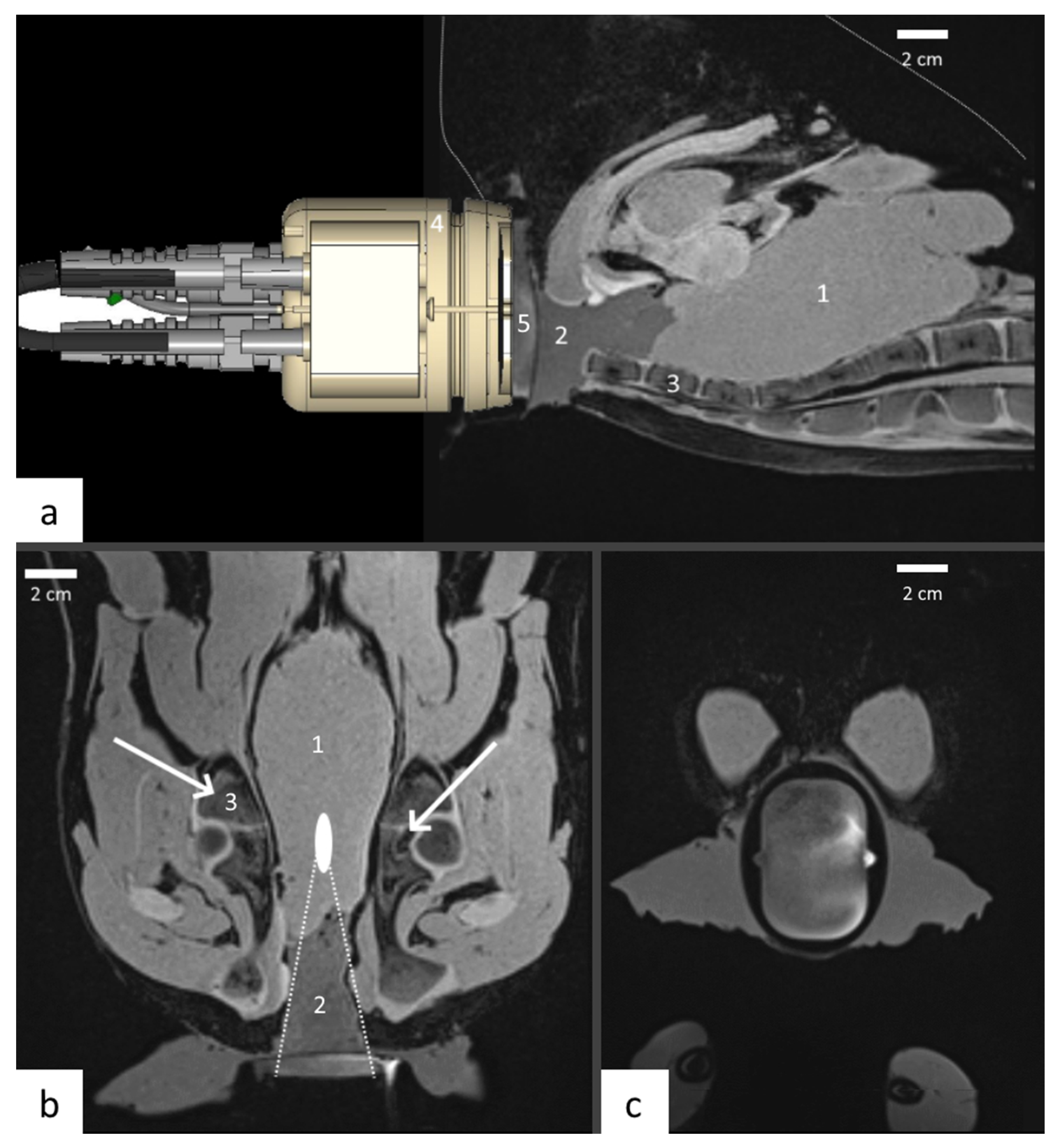 Cancers 15 00163 g002 Cancers 15 00163 g002