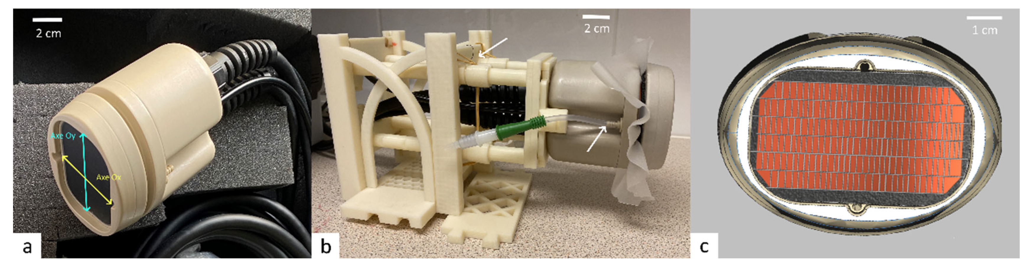 Cancers 15 00163 g003 Cancers 15 00163 g003