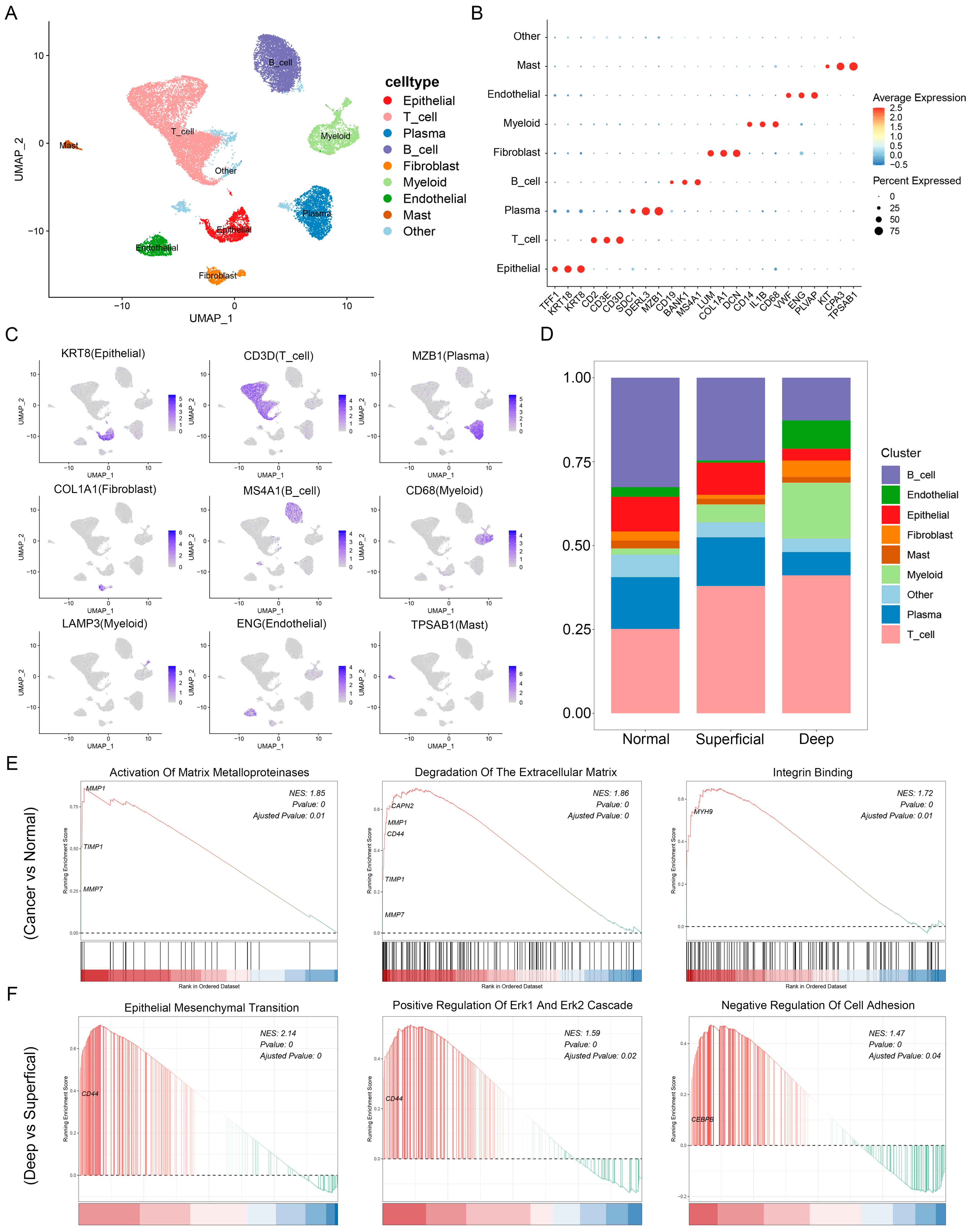 Cancers 15 00164 g002 Cancers 15 00164 g002