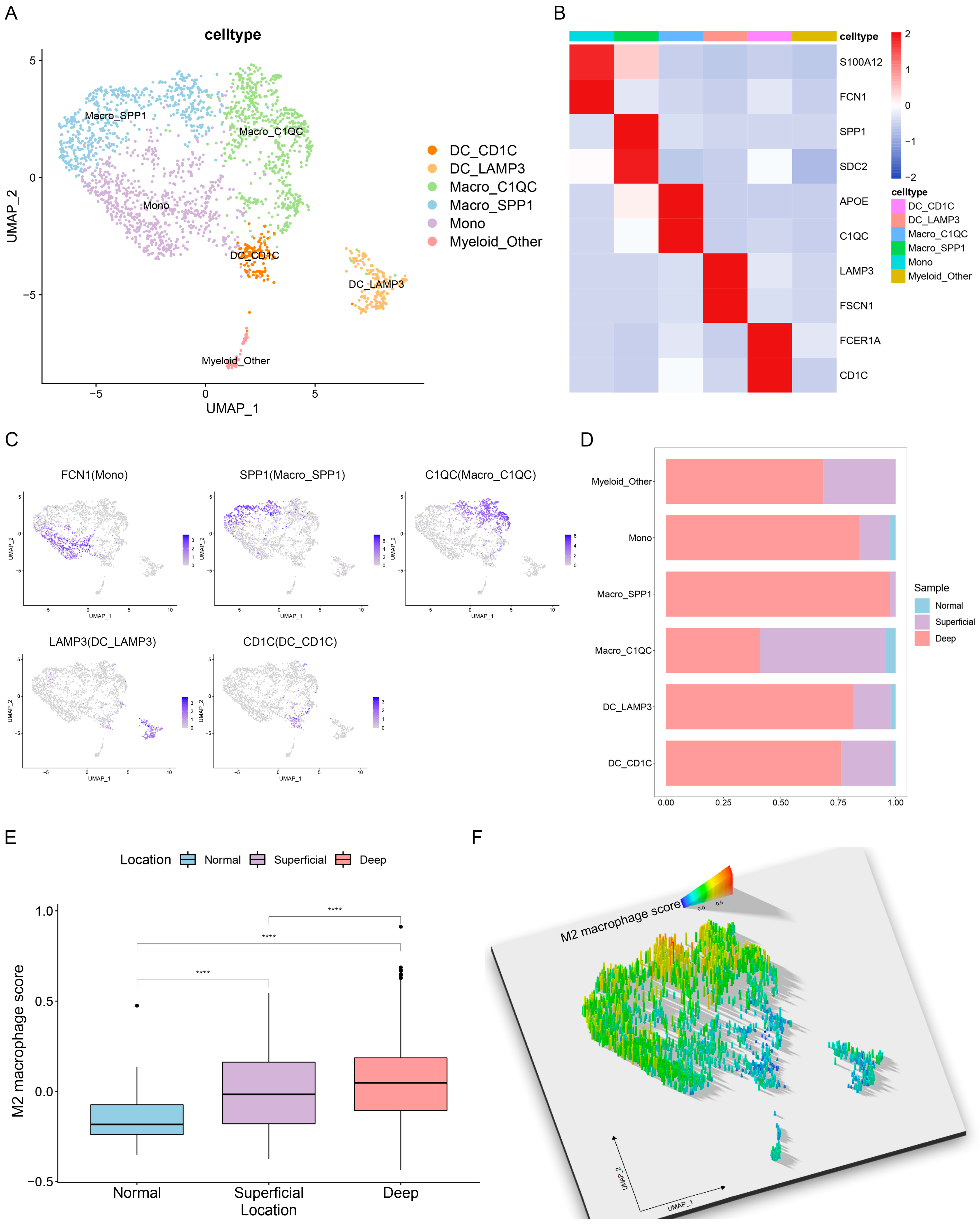 Cancers 15 00164 g003 Cancers 15 00164 g003