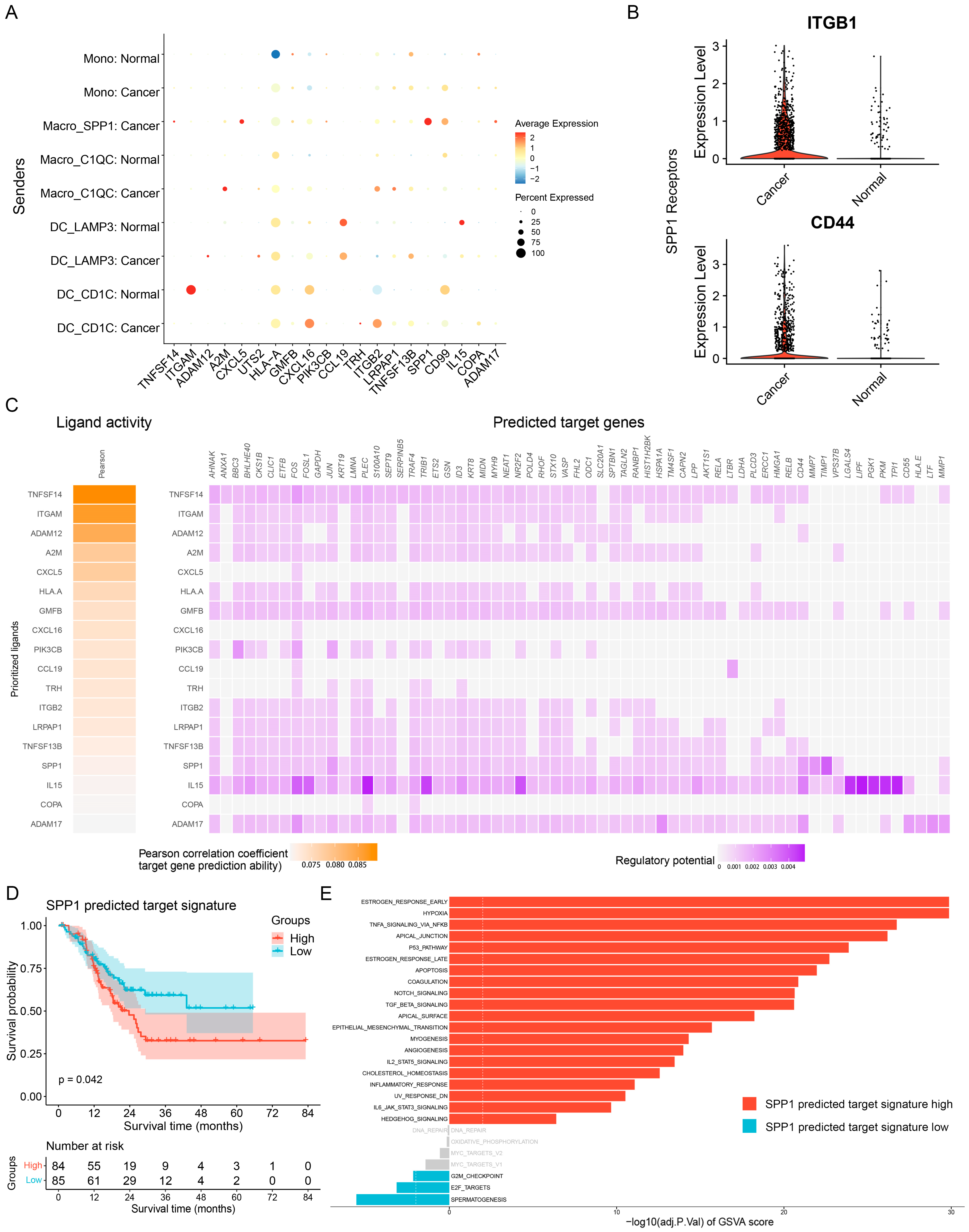 Cancers 15 00164 g004 Cancers 15 00164 g004