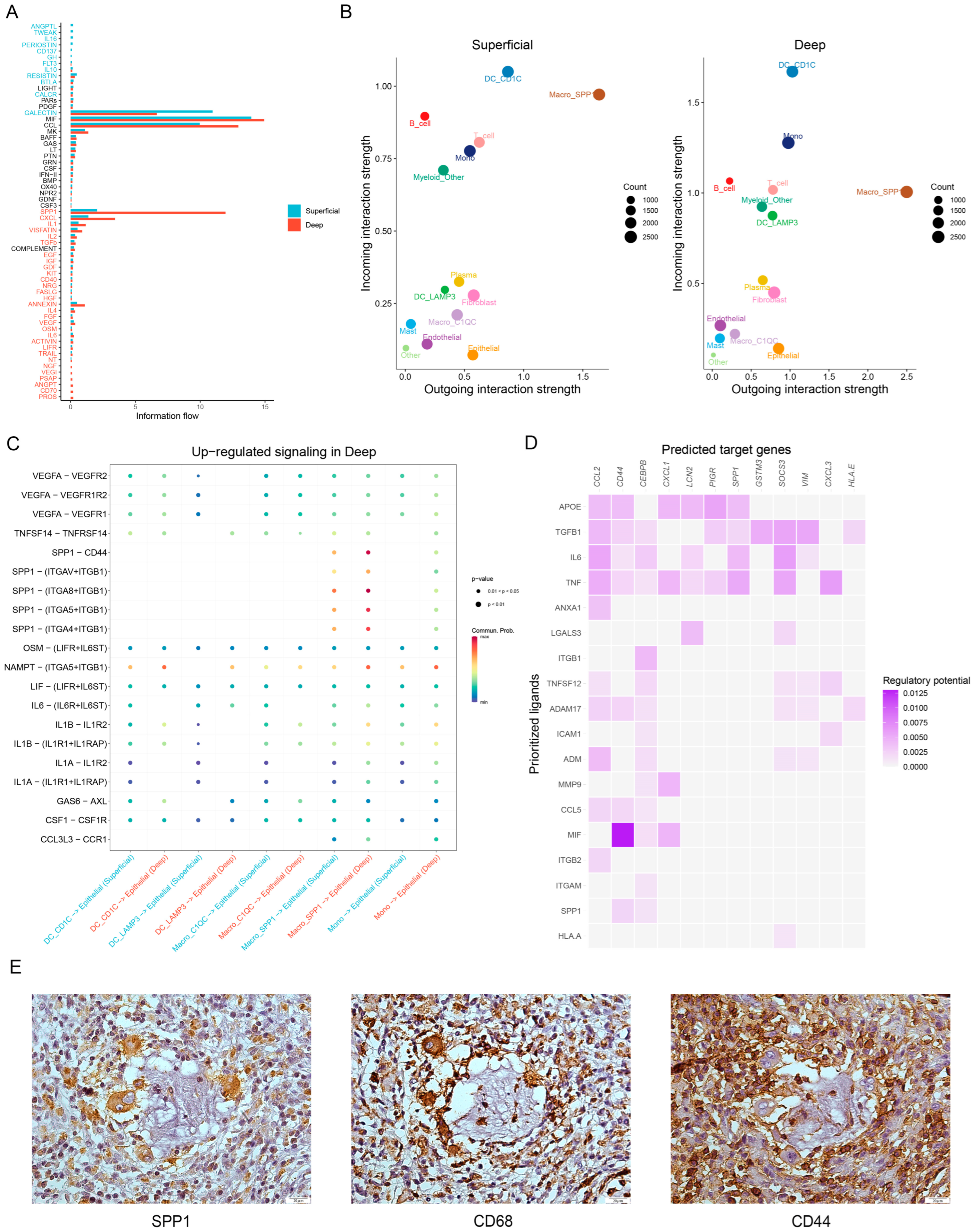 Cancers 15 00164 g005 Cancers 15 00164 g005
