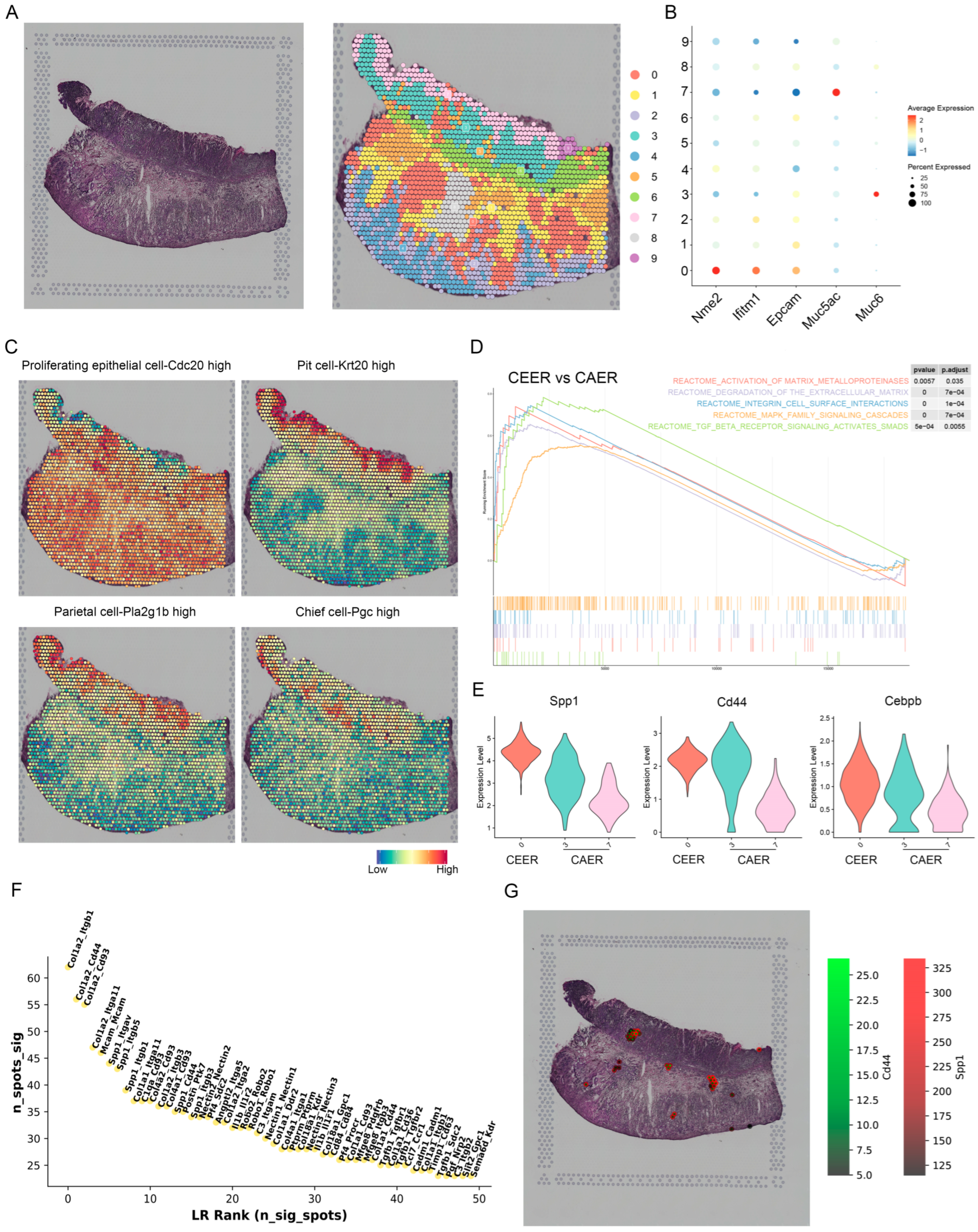 Cancers 15 00164 g006 Cancers 15 00164 g006