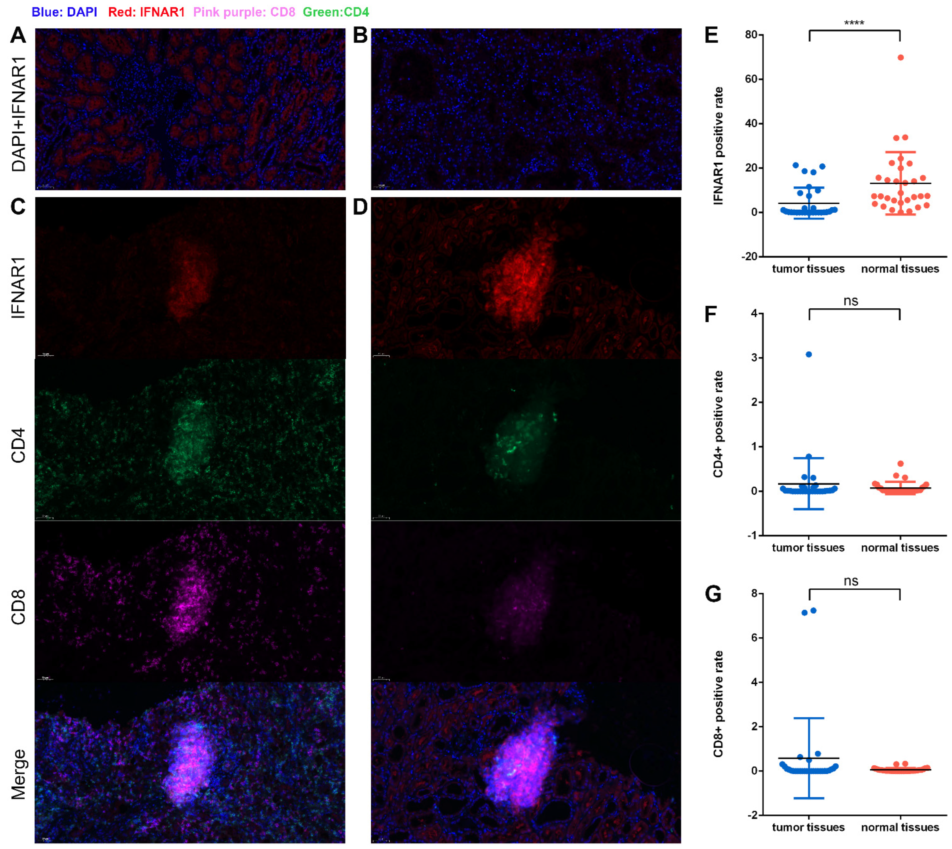 Cancers 15 00169 g007