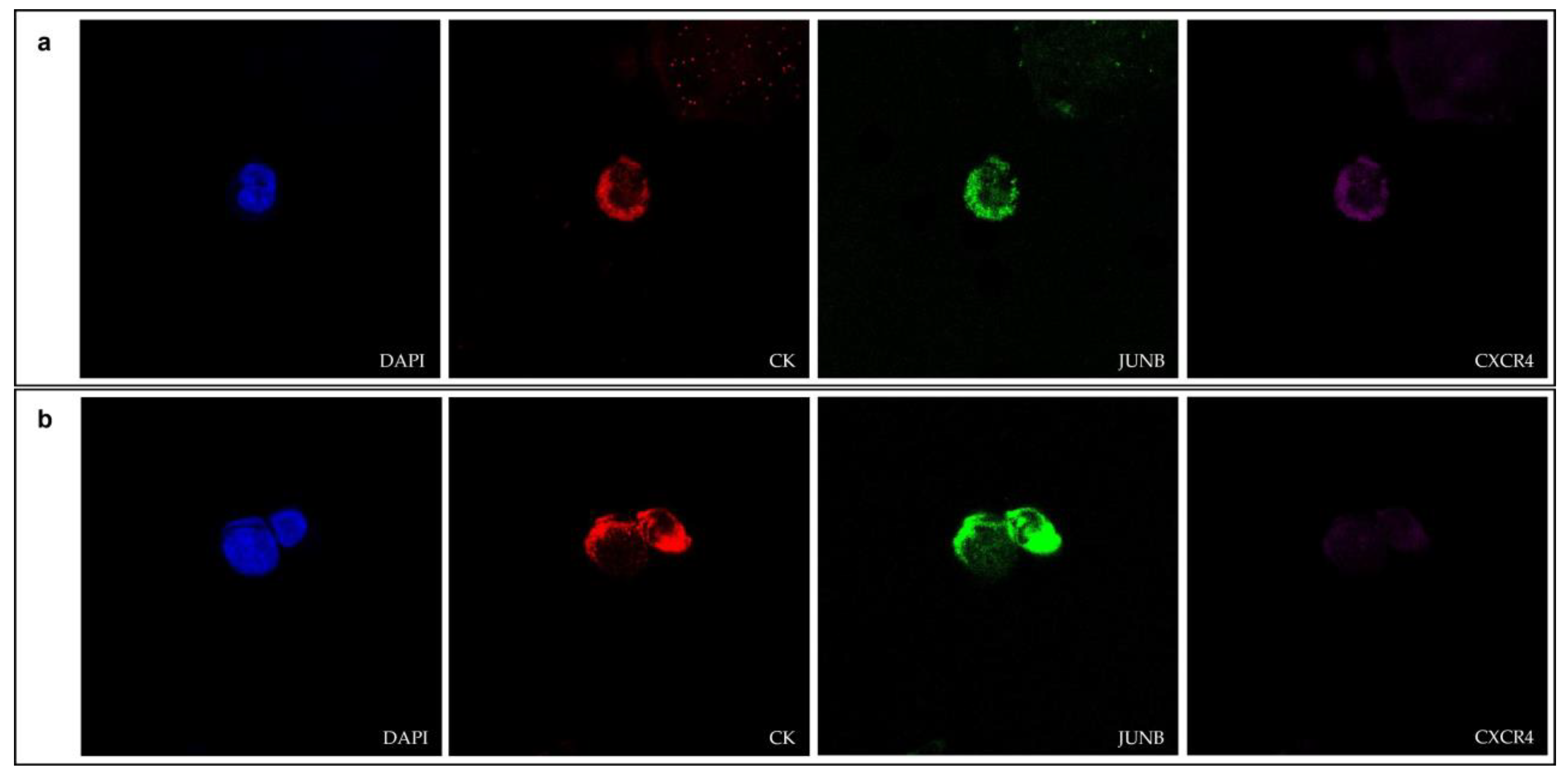 Cancers 15 00171 g001