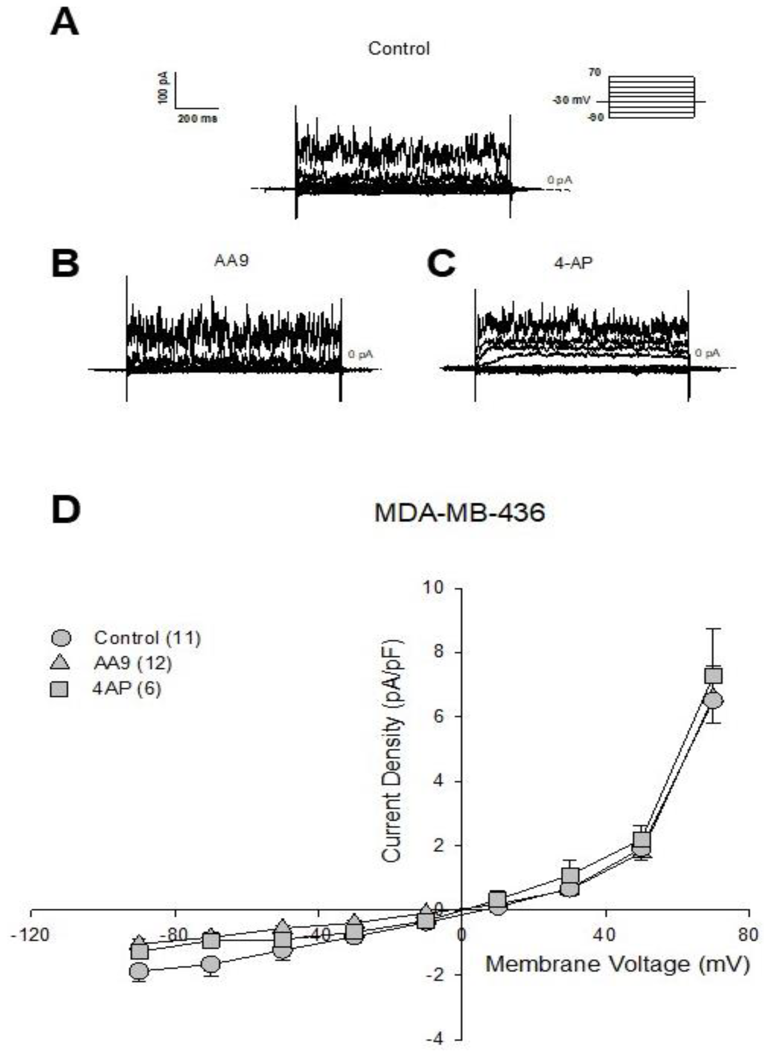 Cancers 15 00178 g004 Cancers 15 00178 g004
