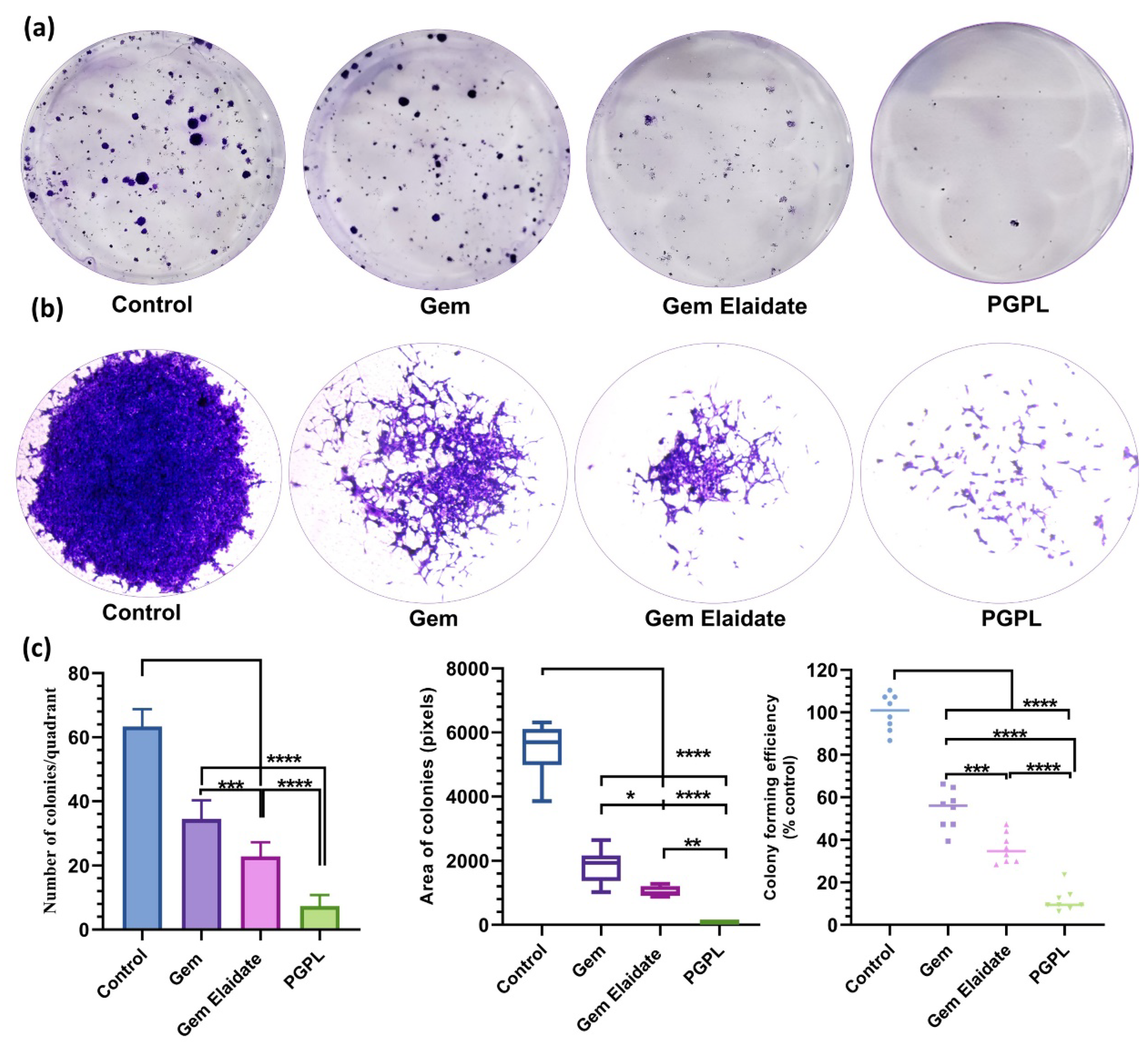 Cancers 15 00182 g005 Cancers 15 00182 g005