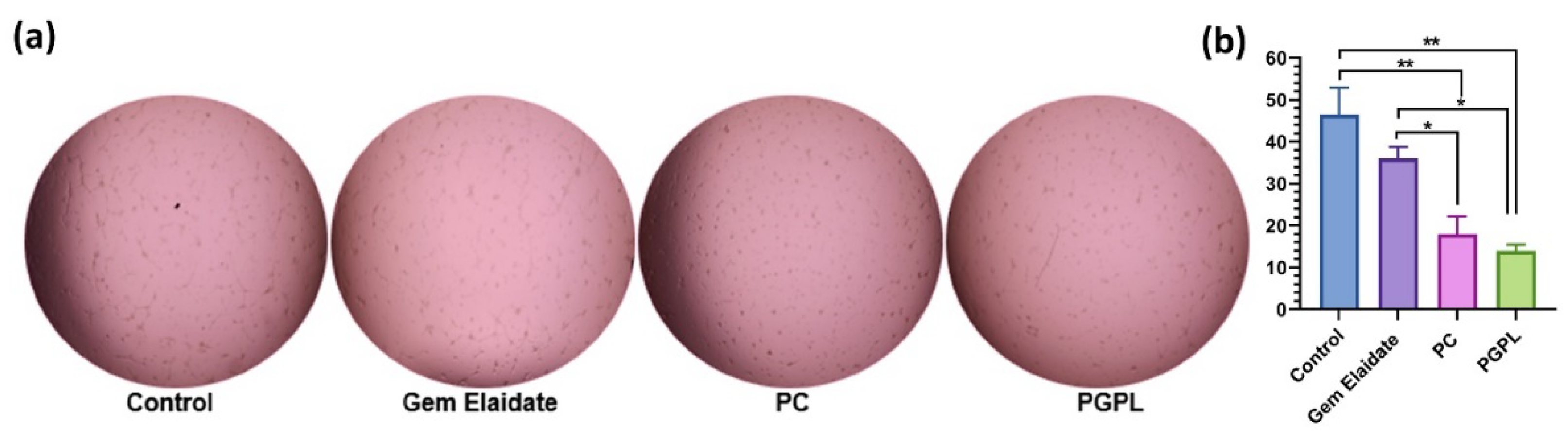 Cancers 15 00182 g006 Cancers 15 00182 g006