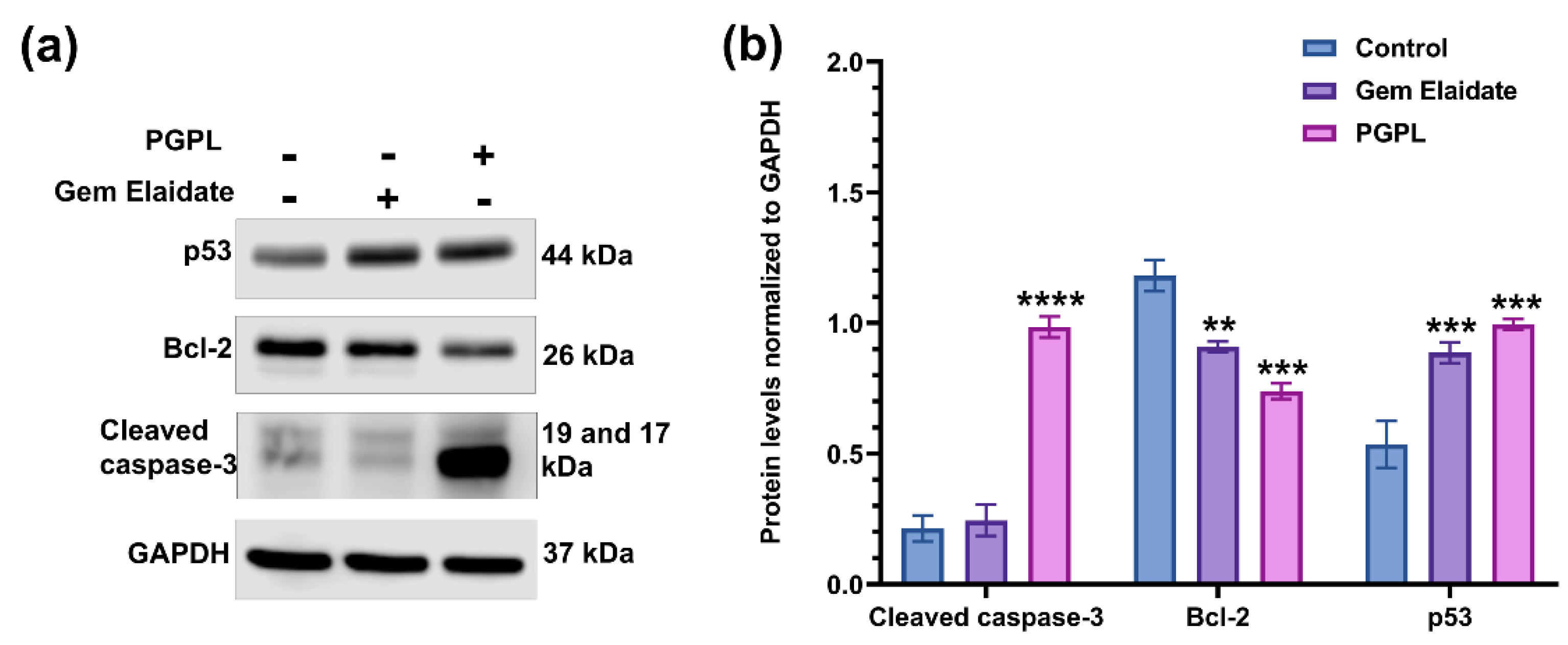 Cancers 15 00182 g007 Cancers 15 00182 g007