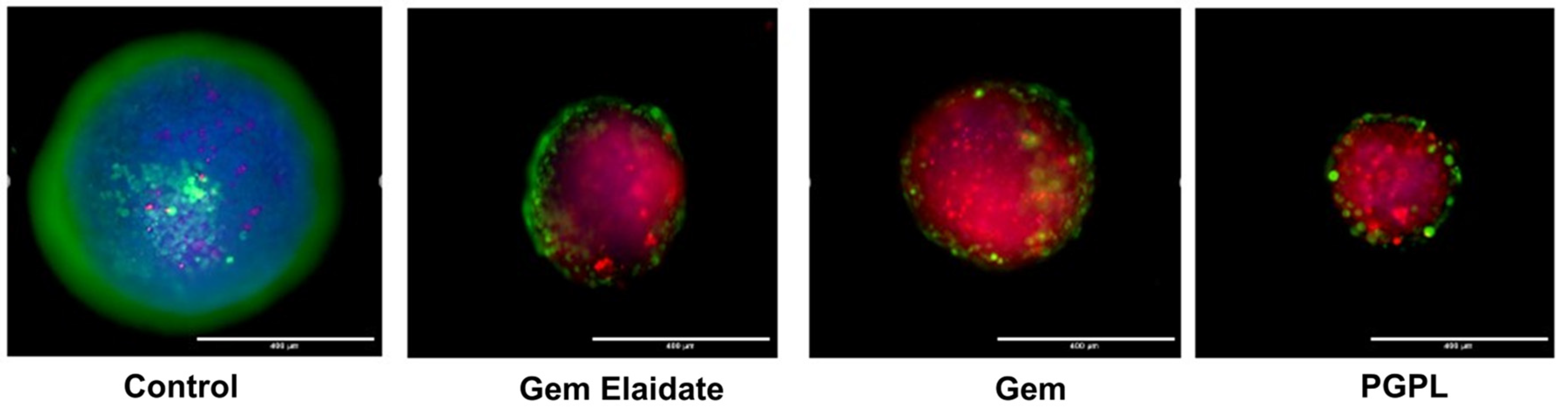 Cancers 15 00182 g009 Cancers 15 00182 g009