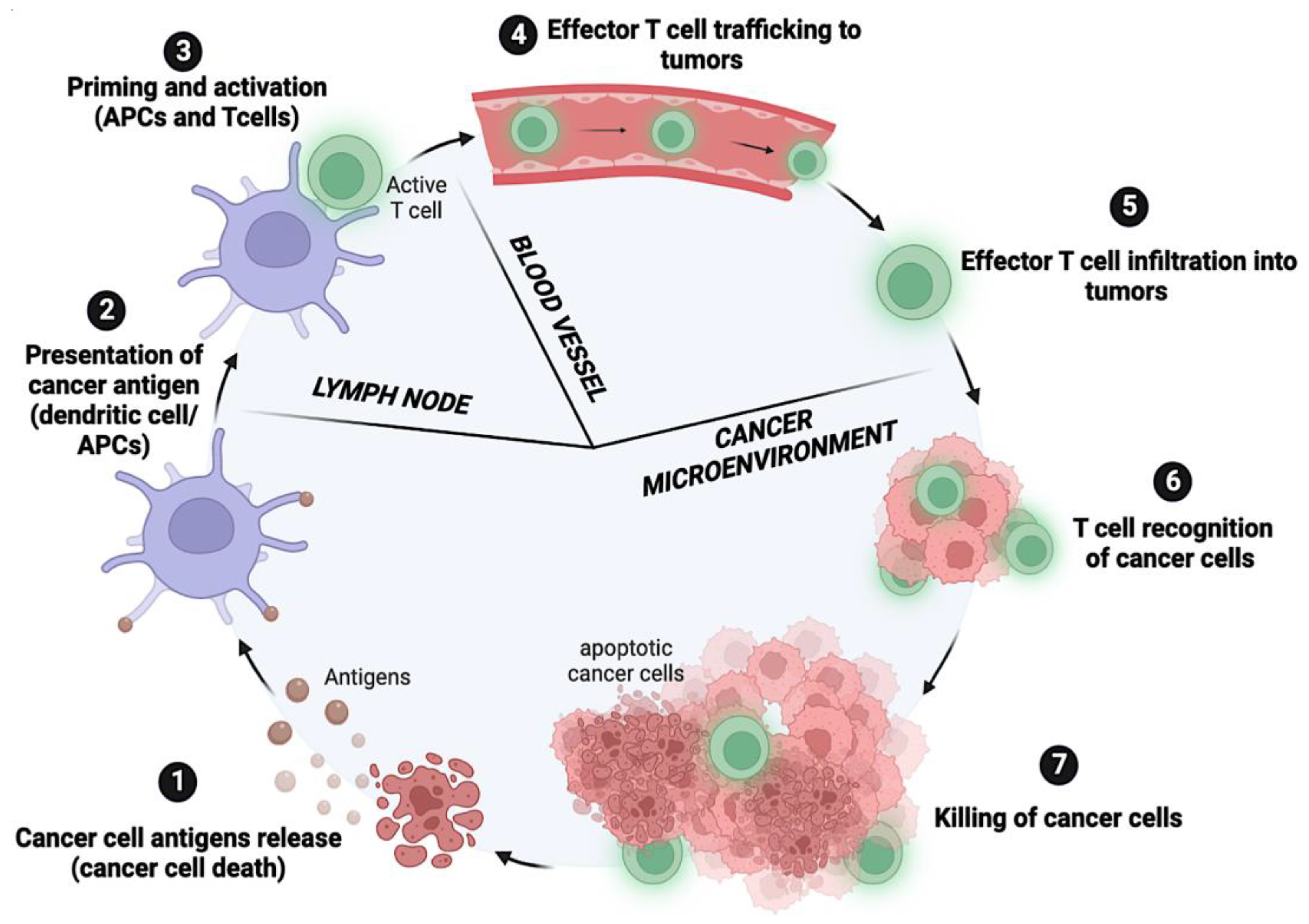 Cancers 15 00184 g001