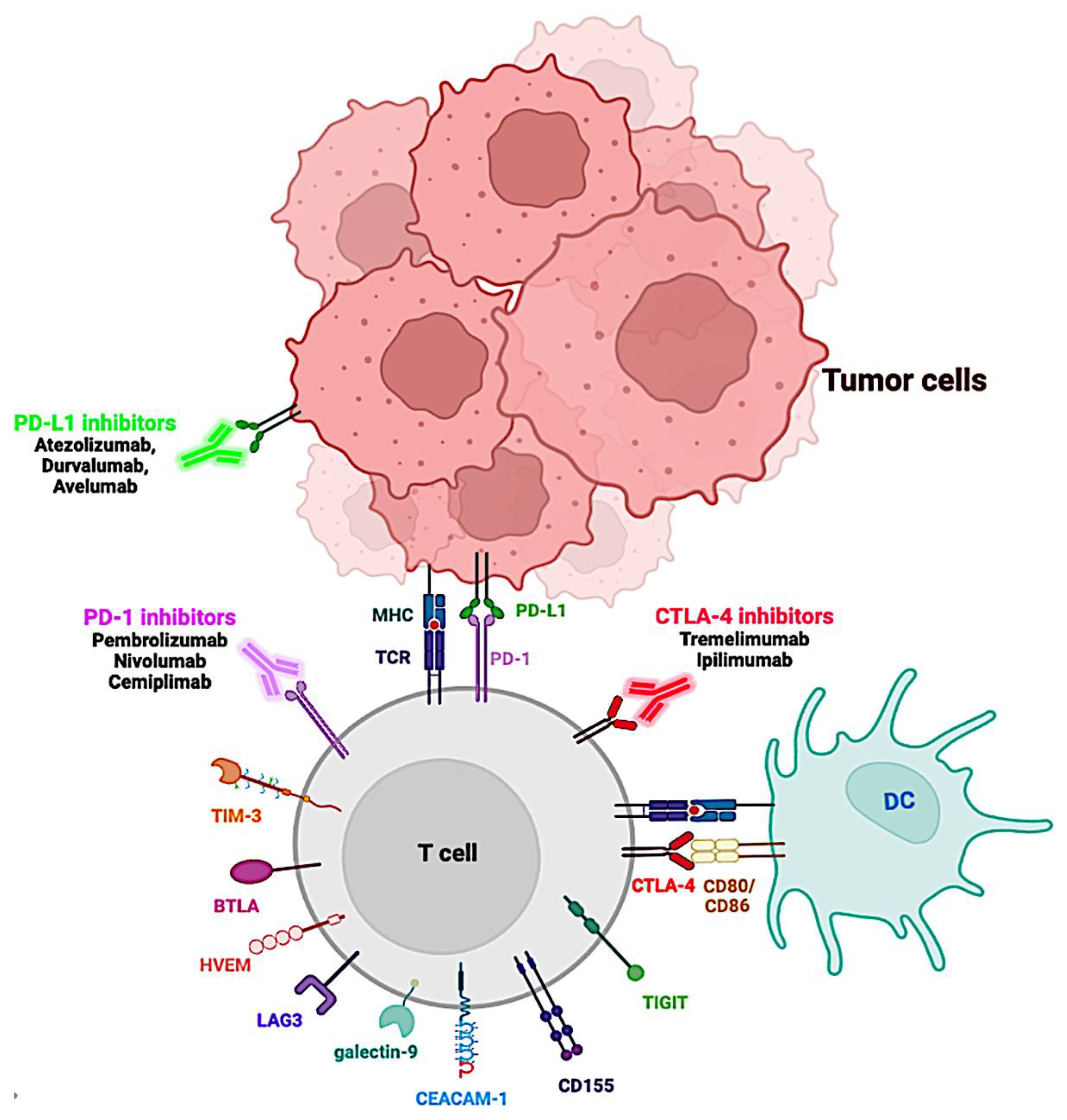 Cancers 15 00184 g002