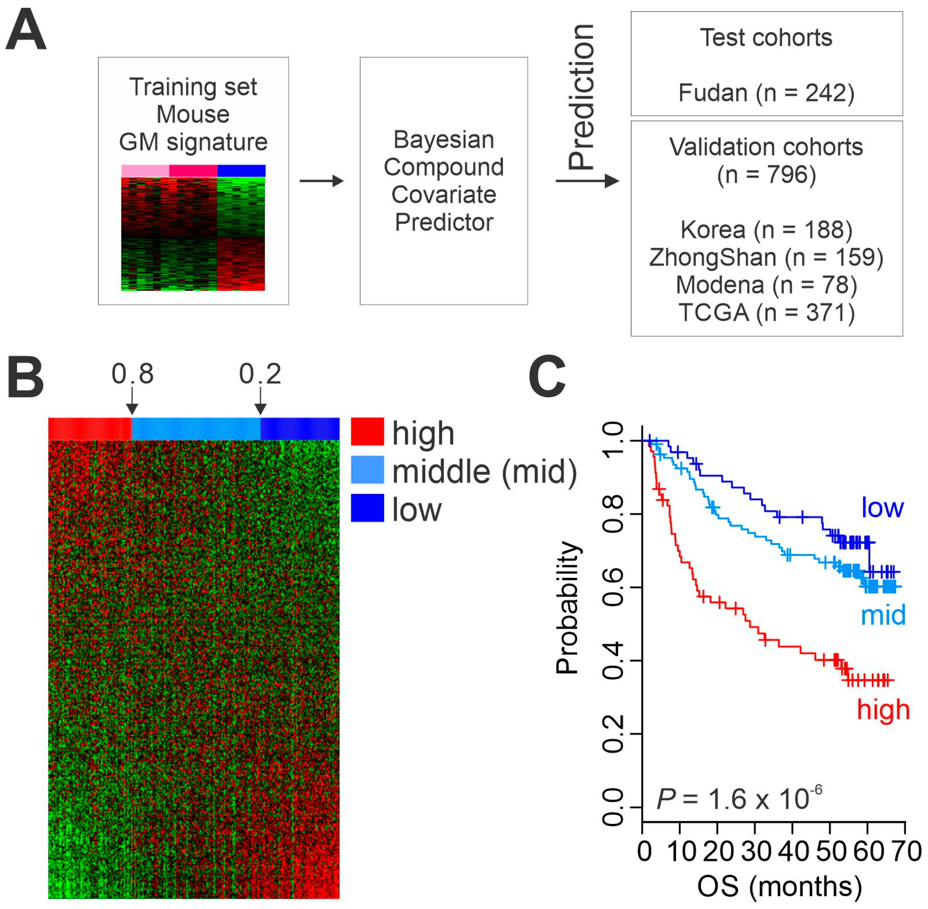 Cancers 15 00186 g002 Cancers 15 00186 g002