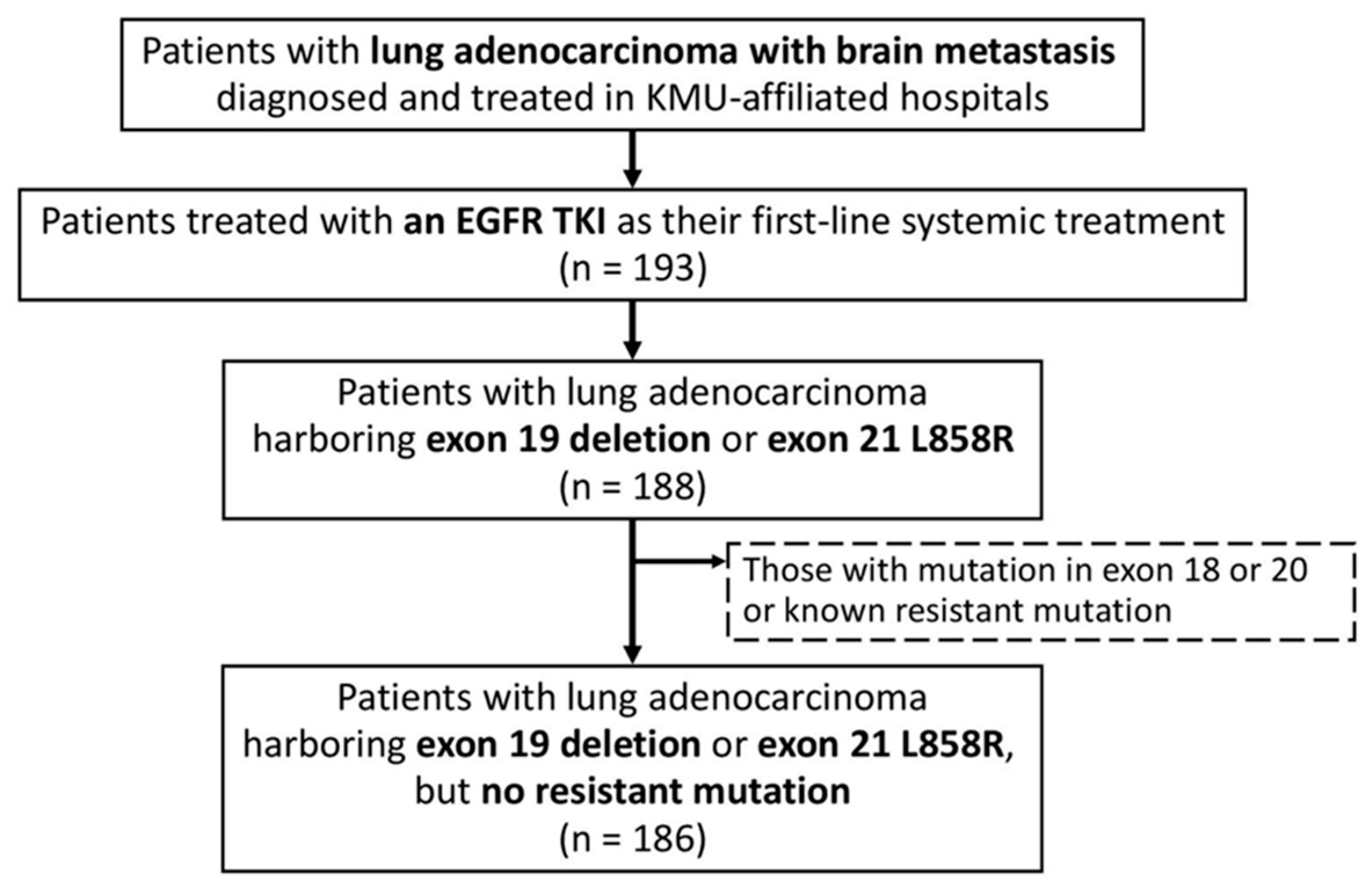 Cancers 15 00187 g001