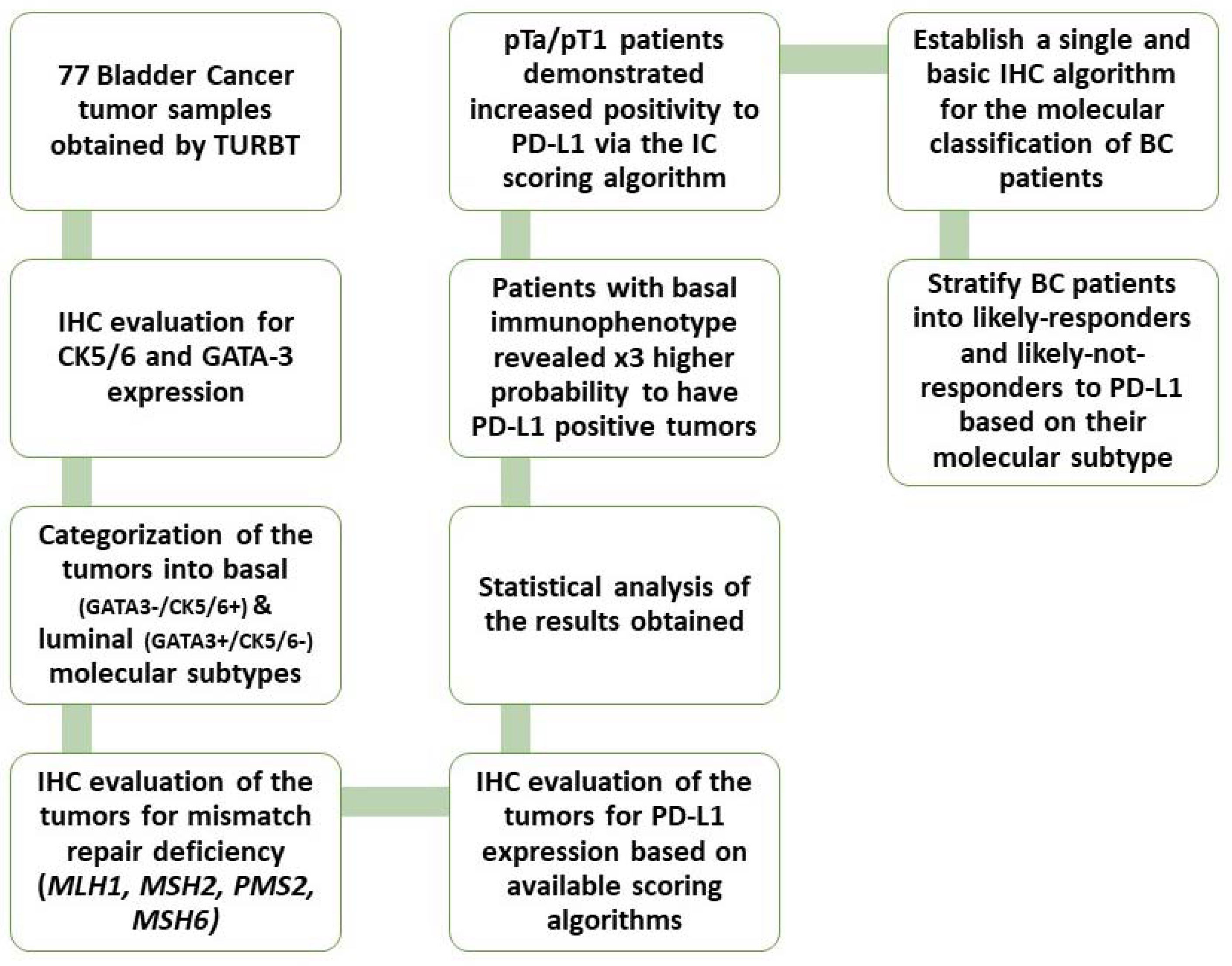 Cancers 15 00188 g001 Cancers 15 00188 g001