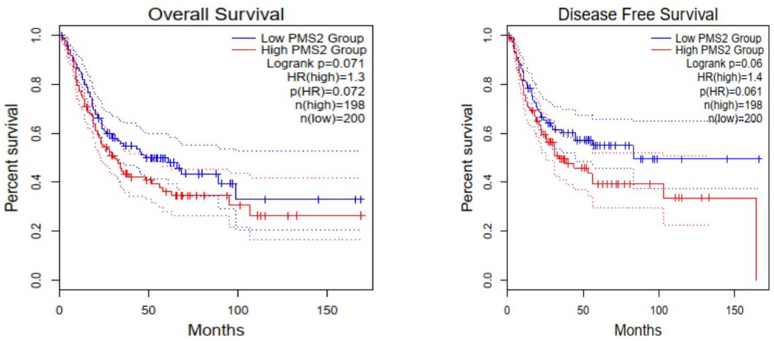 Cancers 15 00188 g006 Cancers 15 00188 g006