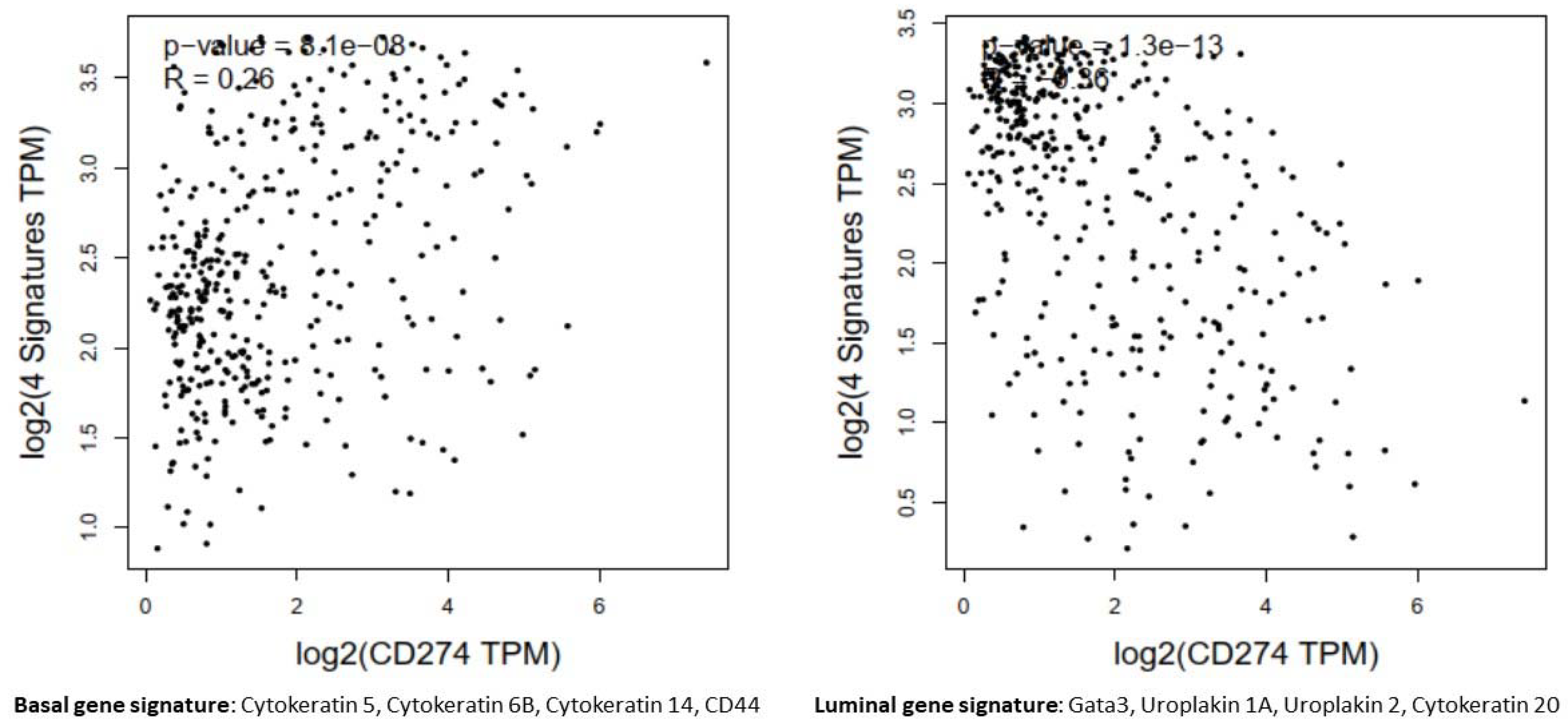 Cancers 15 00188 g011 Cancers 15 00188 g011