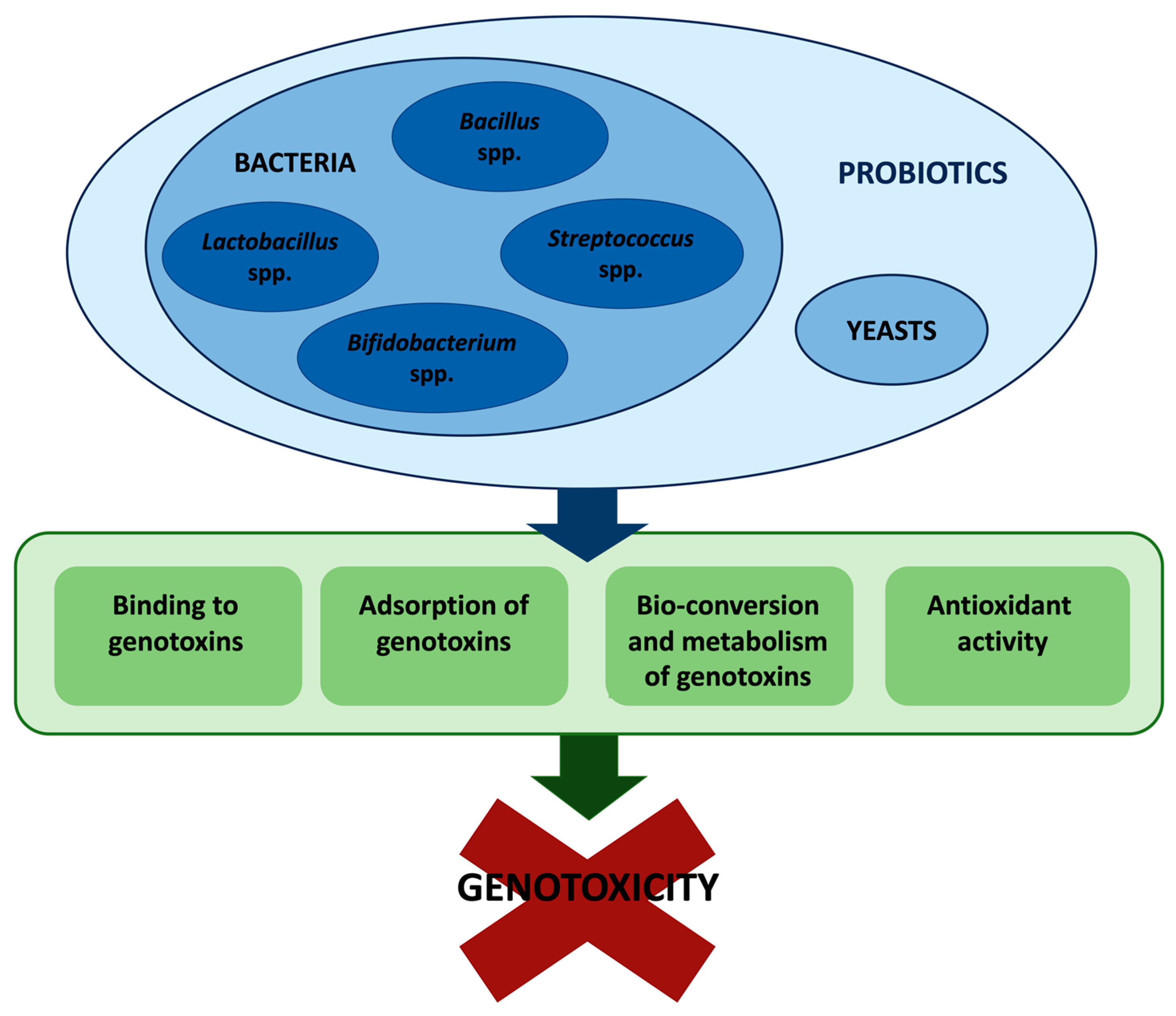 Cancers 15 00190 g001 Cancers 15 00190 g001