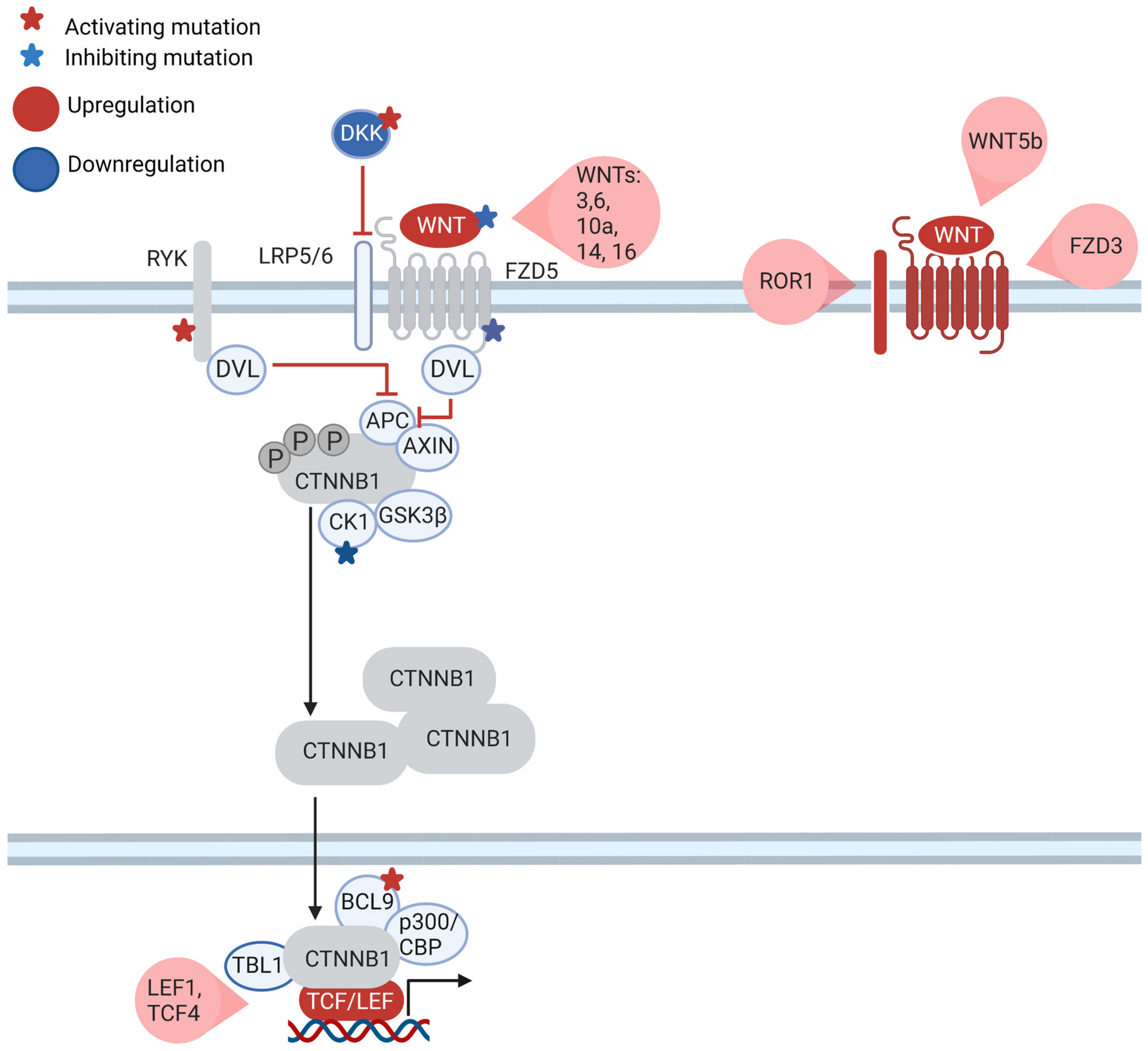 Cancers 15 00194 g003 Cancers 15 00194 g003