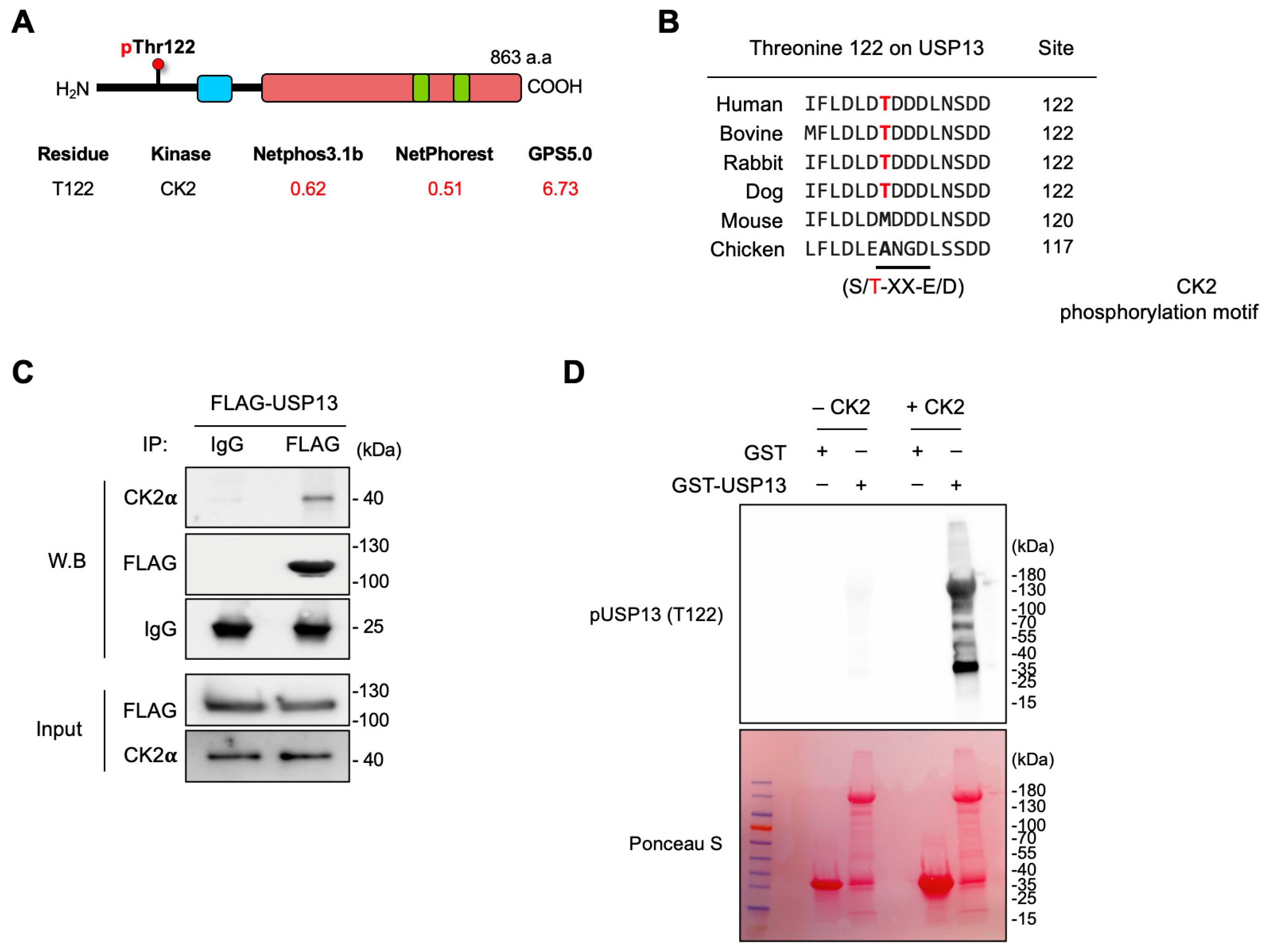 Cancers 15 00200 g004