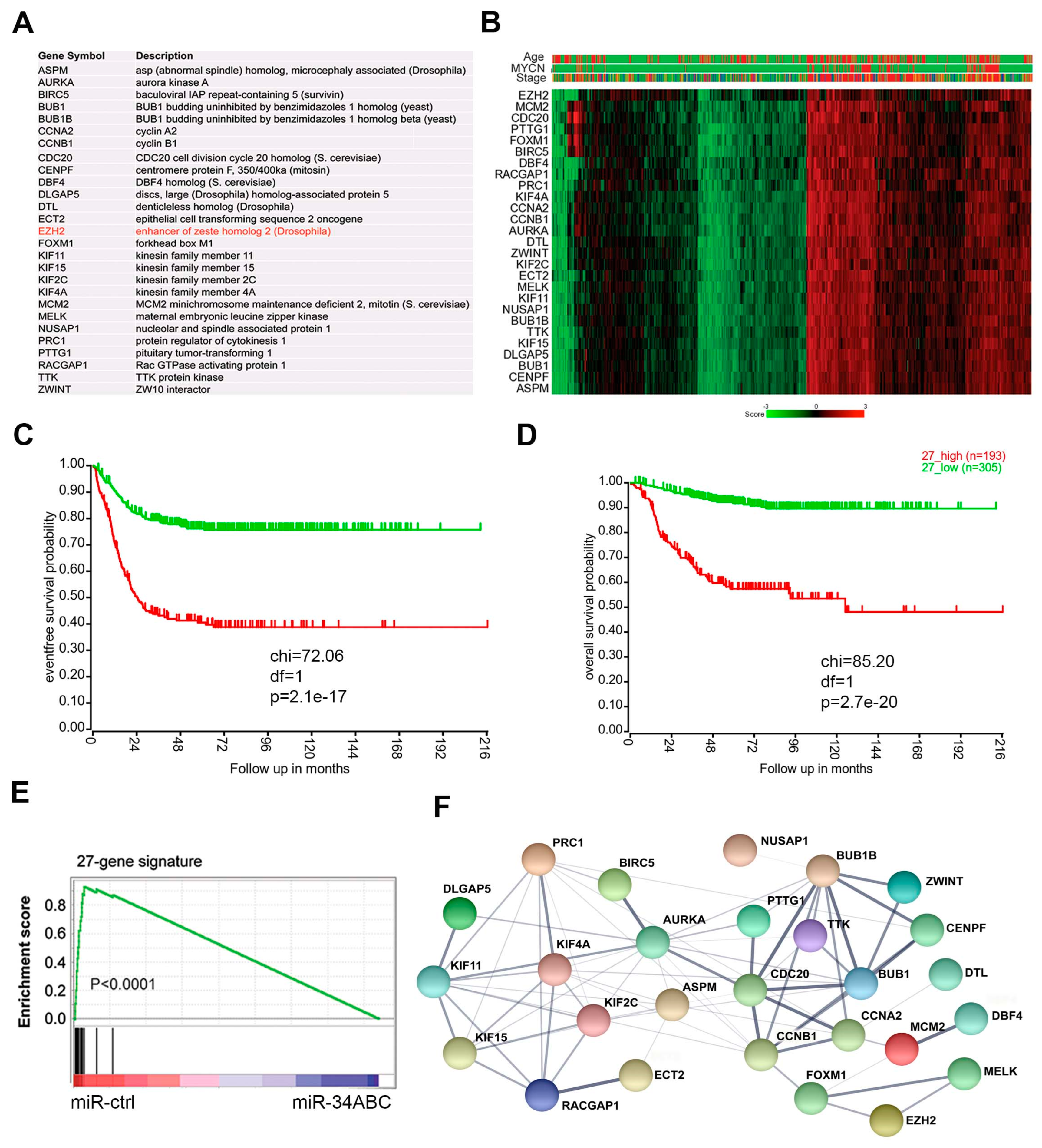 Cancers 15 00208 g002