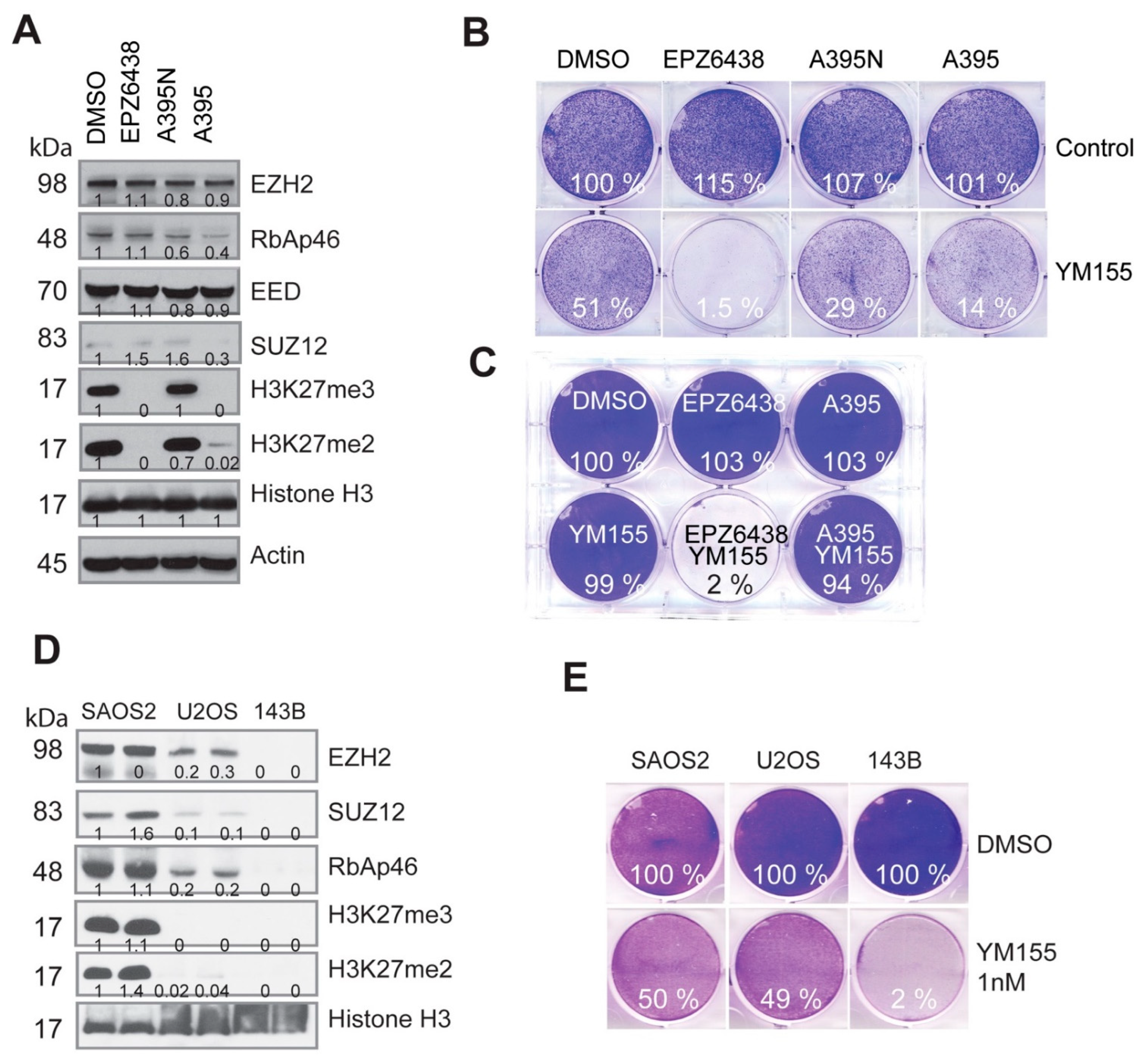 Cancers 15 00208 g004