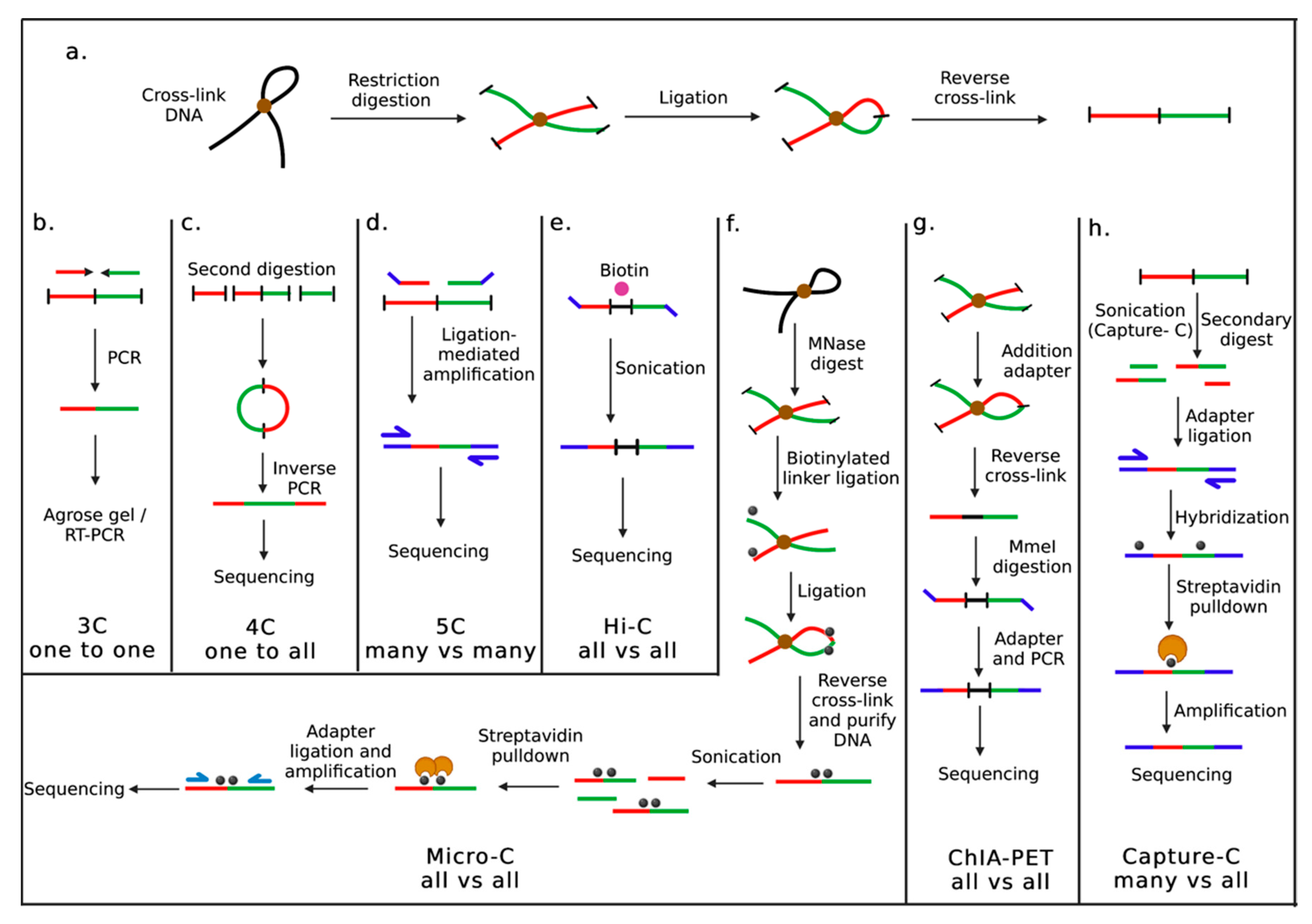 Cancers 15 00215 g001