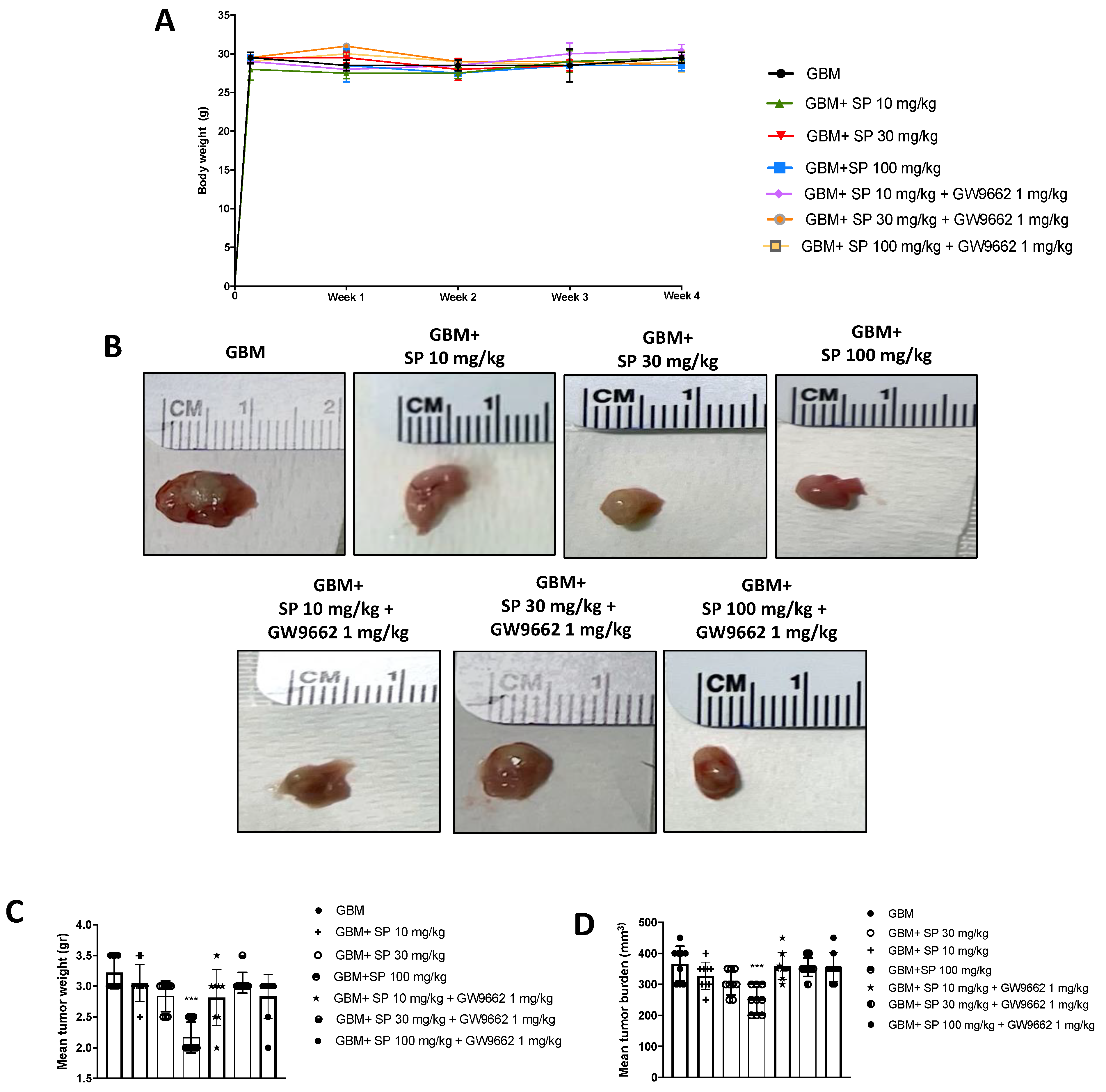 Cancers 15 00217 g006