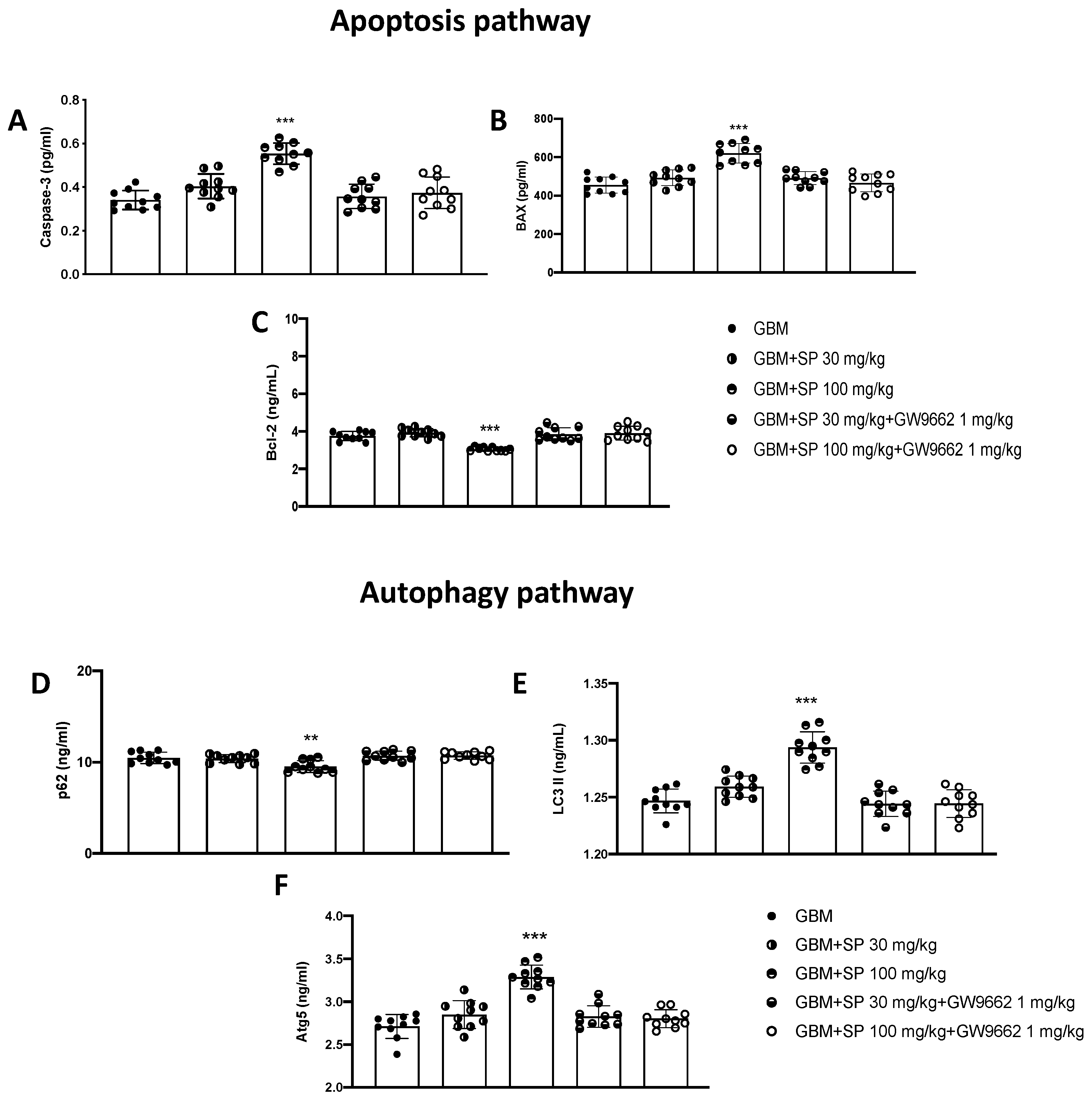 Cancers 15 00217 g009