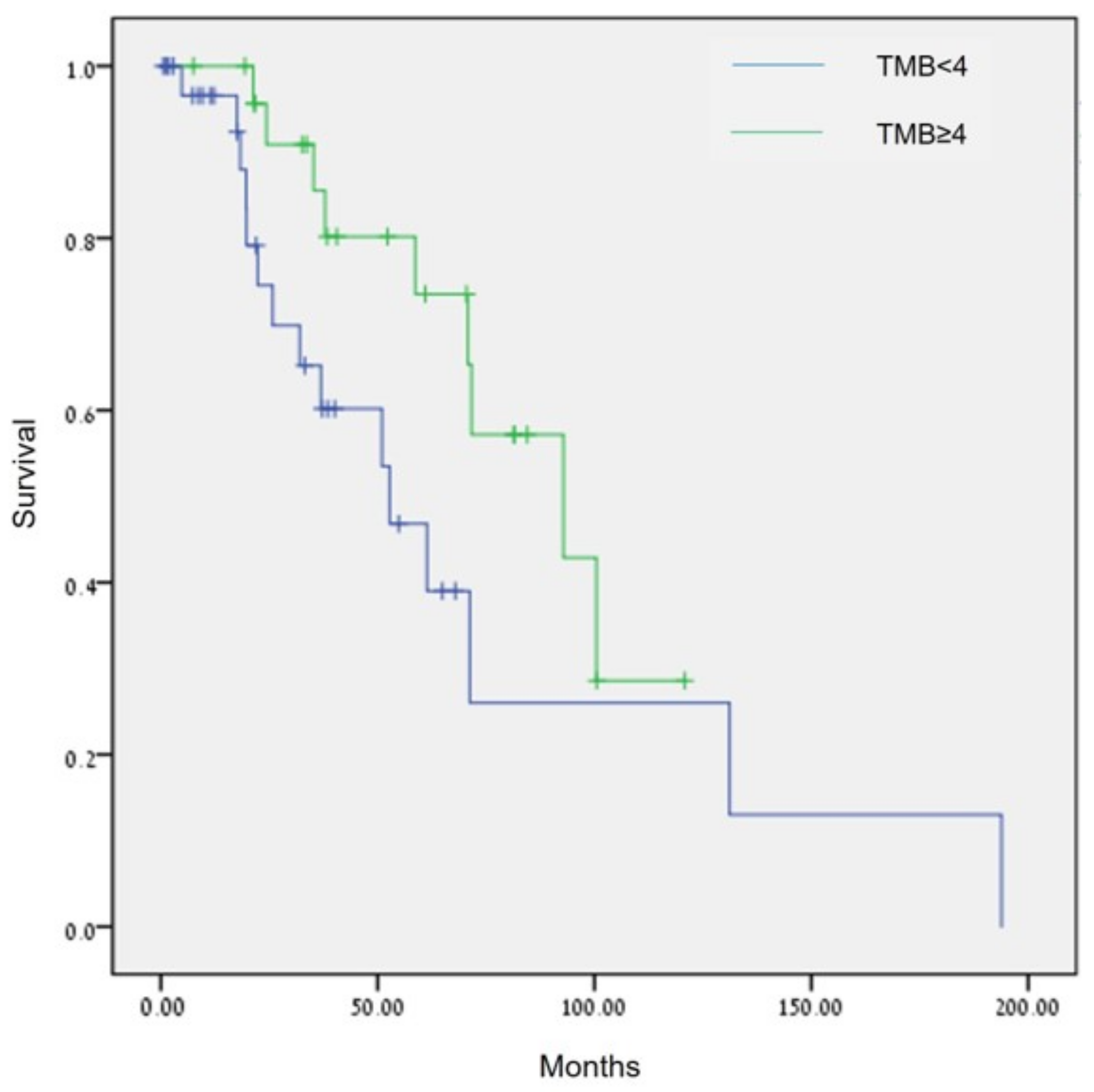 Cancers 15 00218 g004