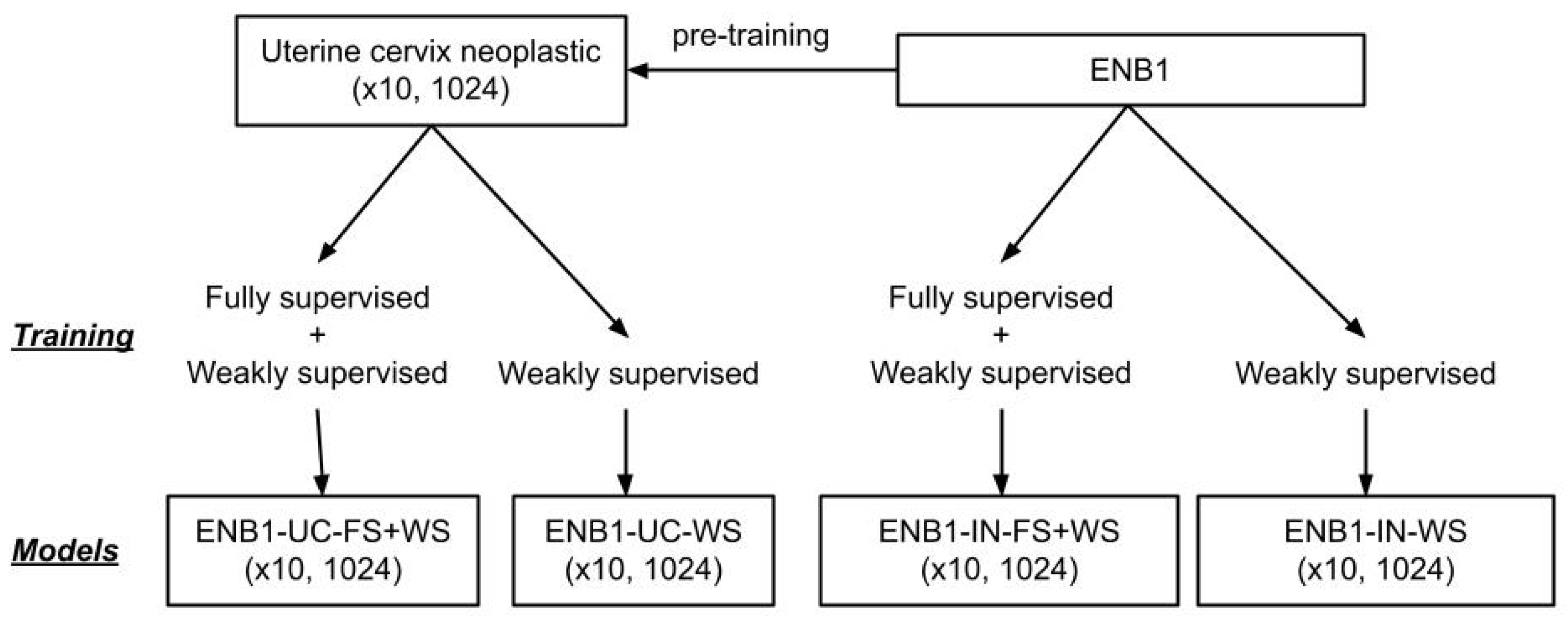 Cancers 15 00226 g002