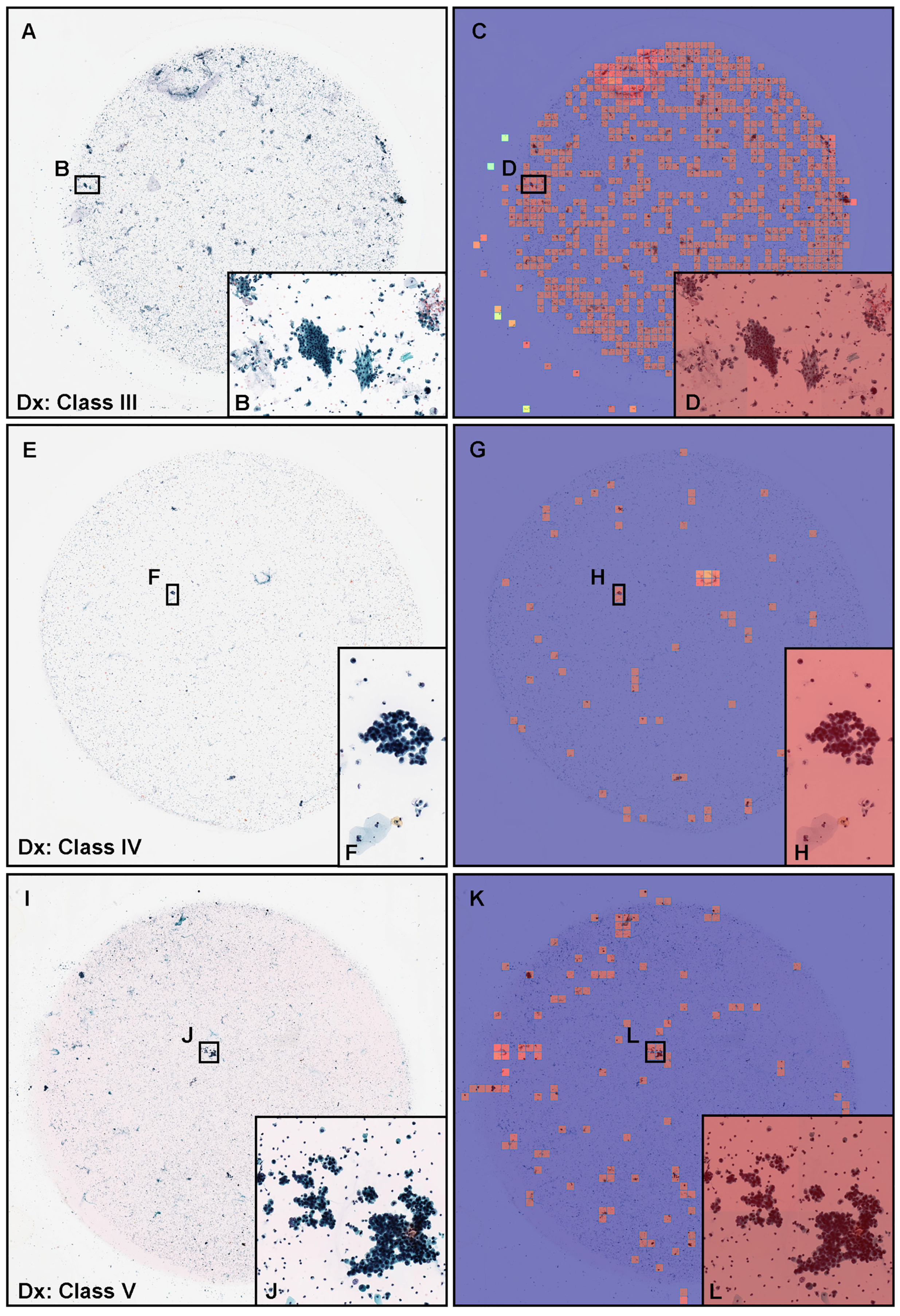 Cancers 15 00226 g005