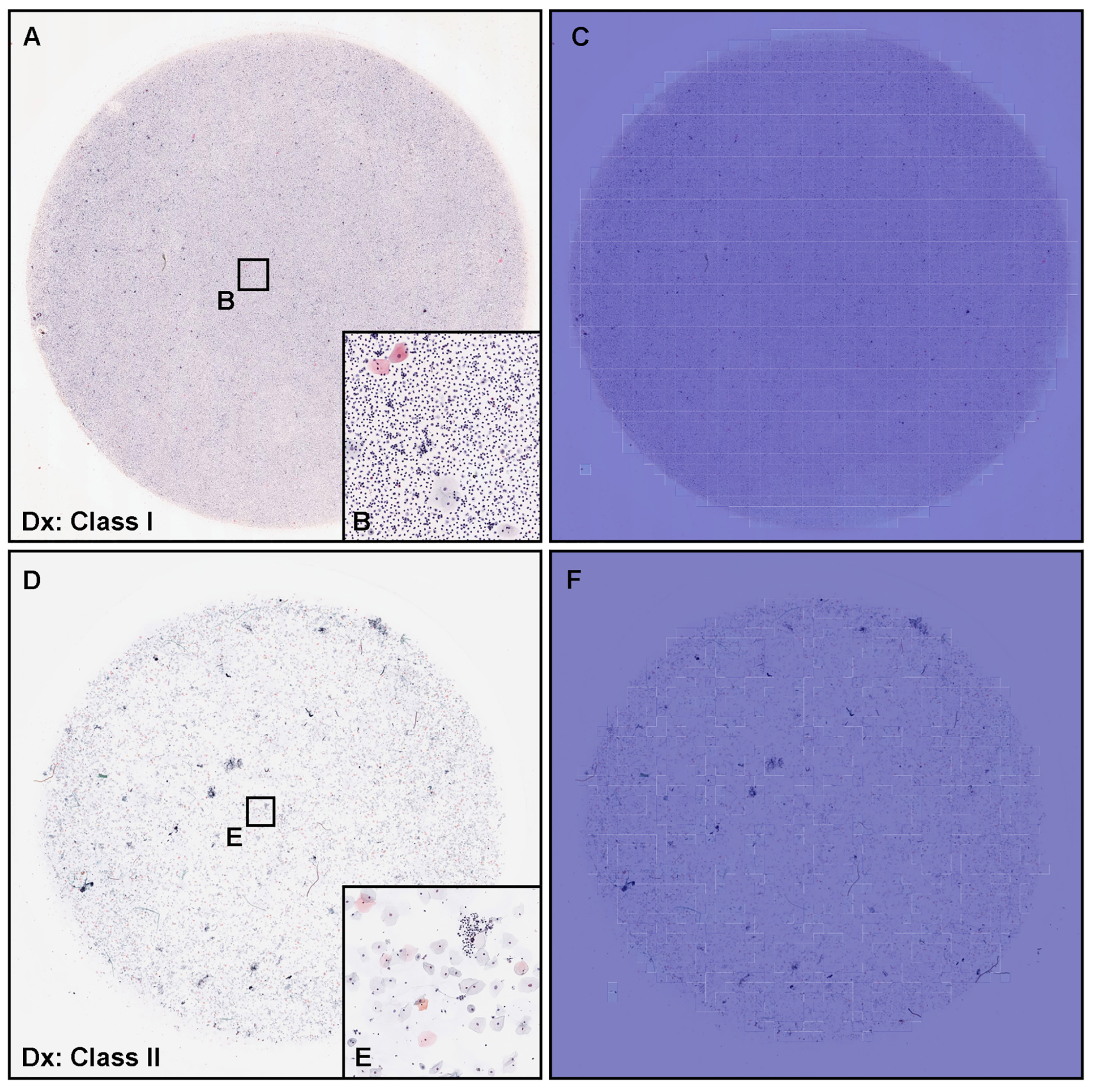 Cancers 15 00226 g006