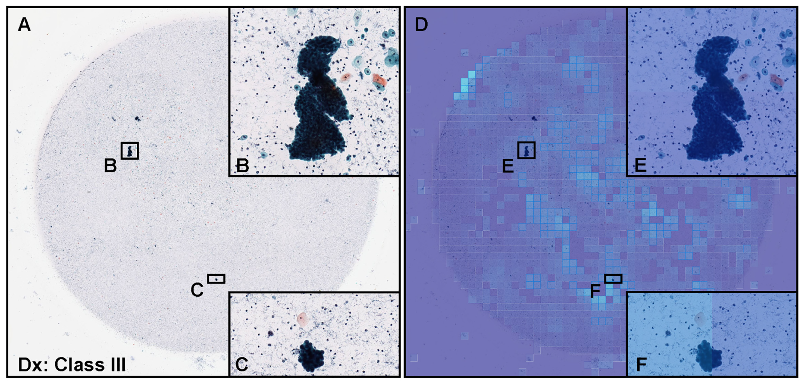 Cancers 15 00226 g008
