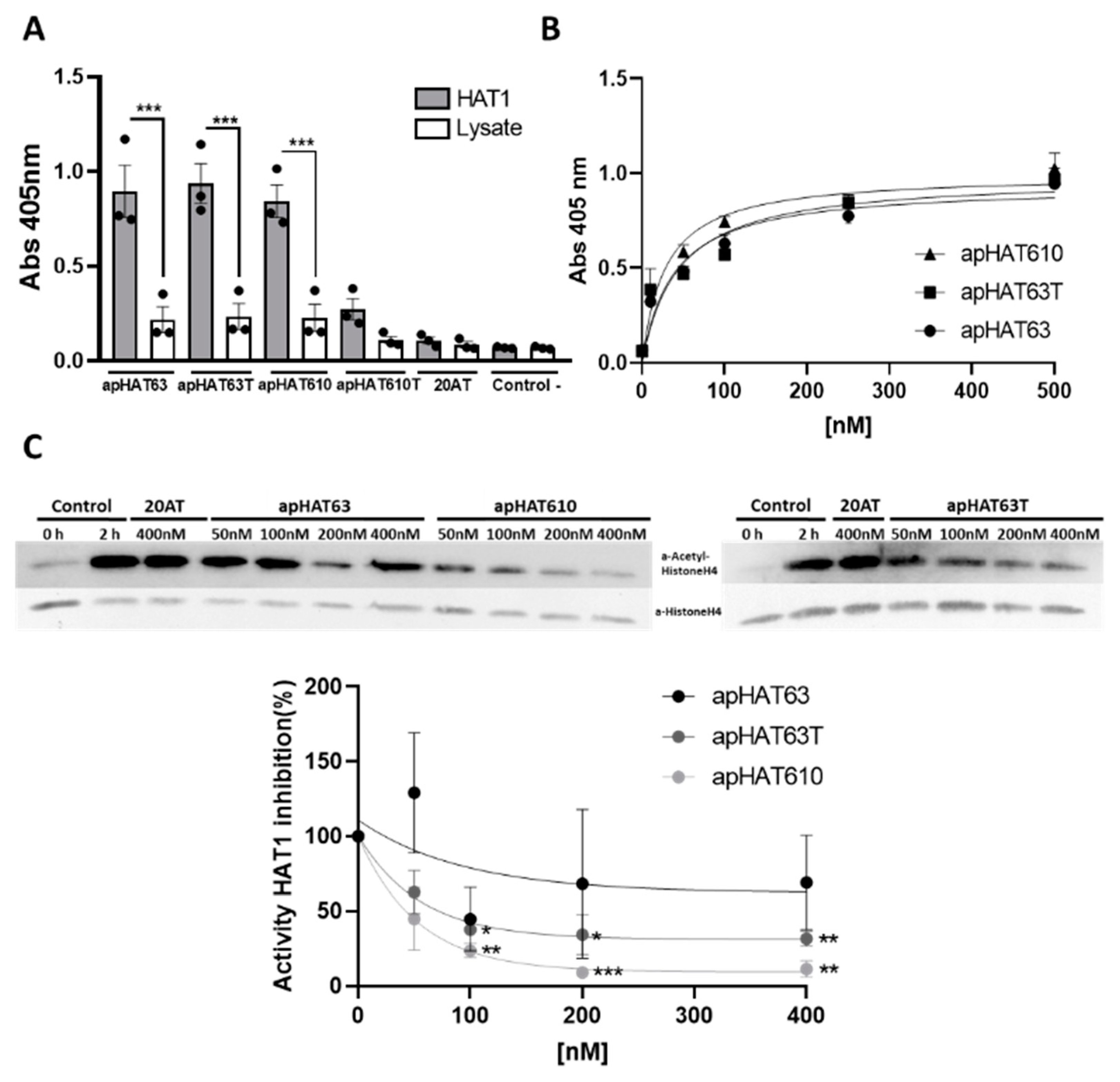 Cancers 15 00227 g004 Cancers 15 00227 g004