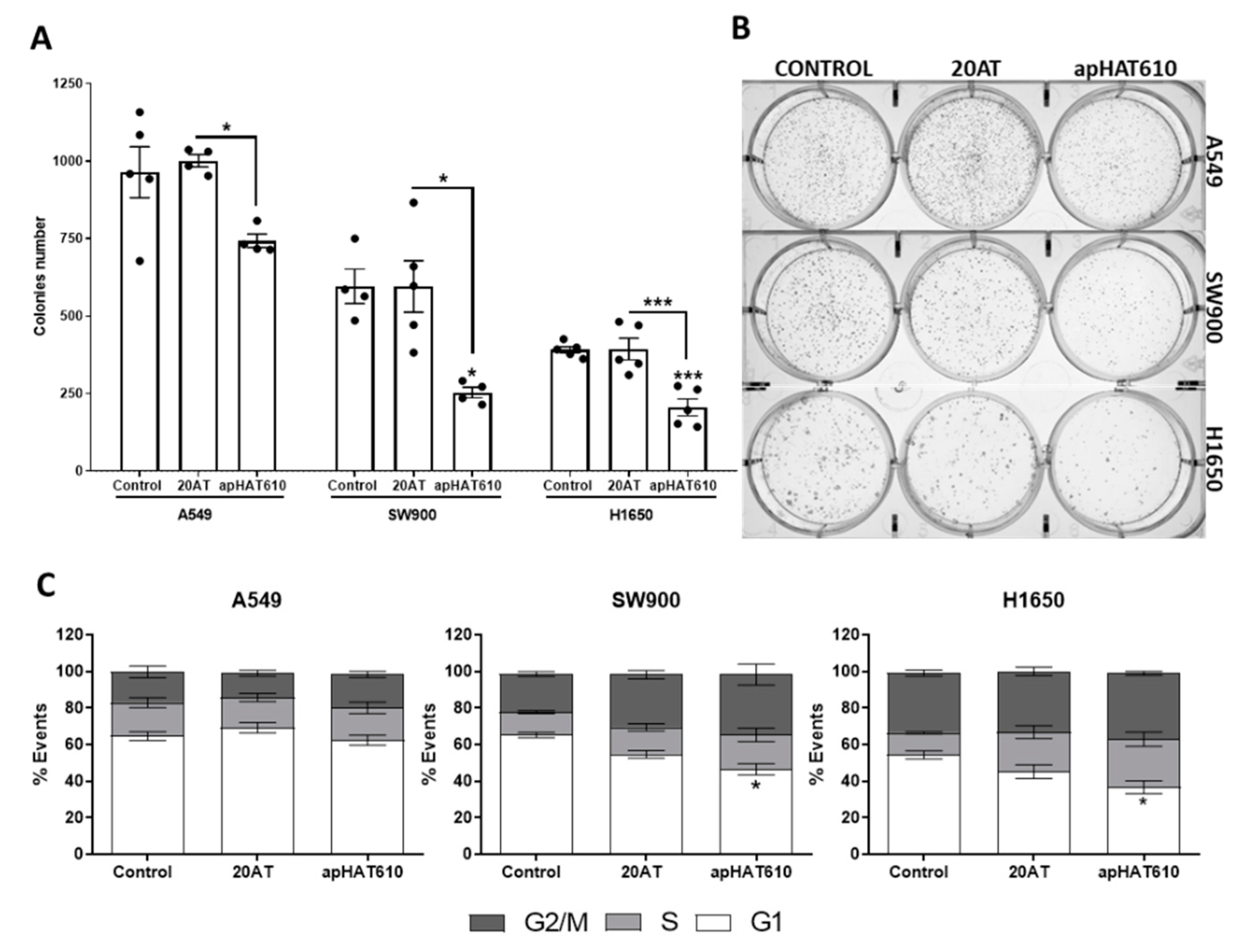 Cancers 15 00227 g006 Cancers 15 00227 g006
