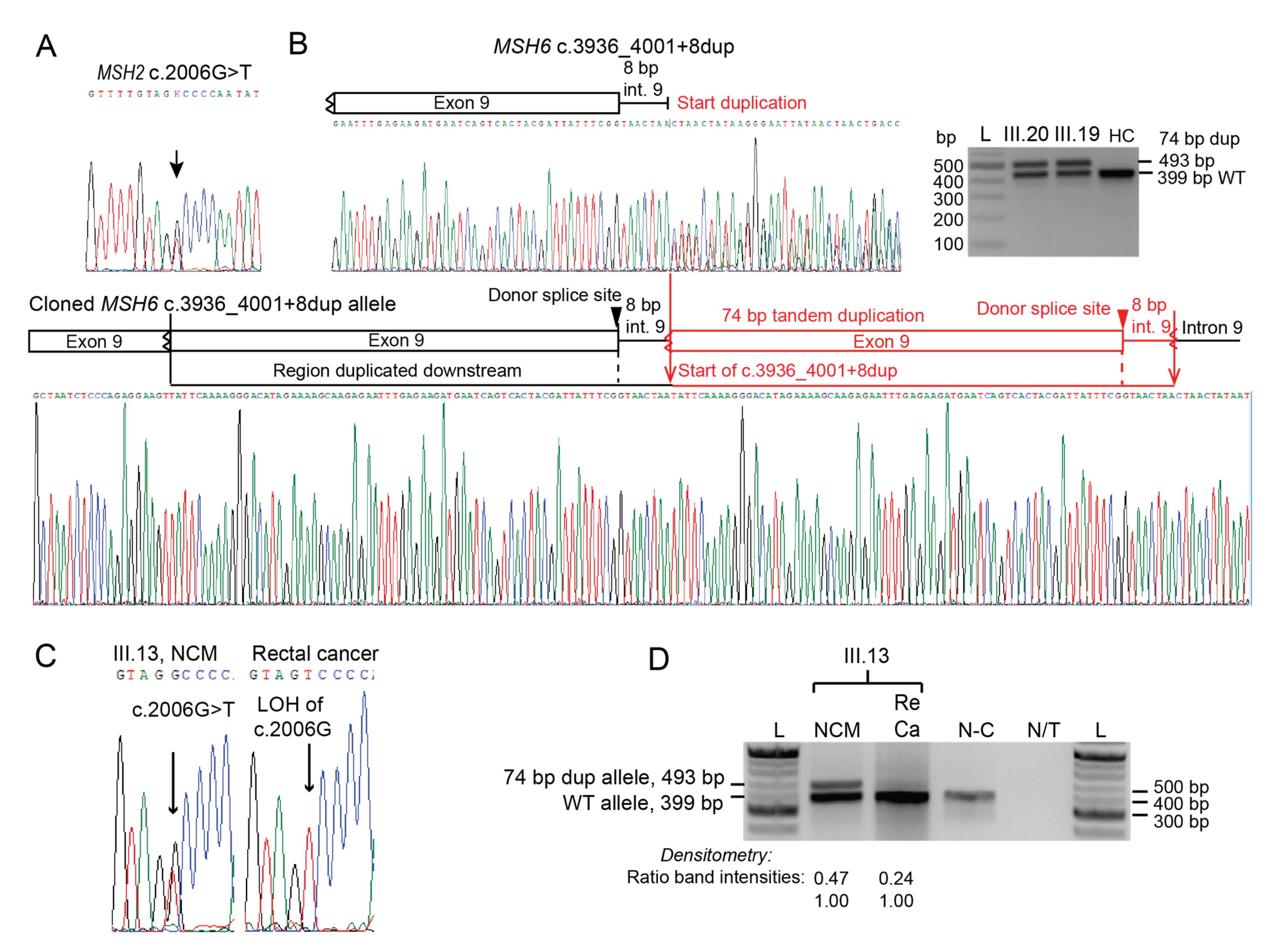 Cancers 15 00228 g002 Cancers 15 00228 g002