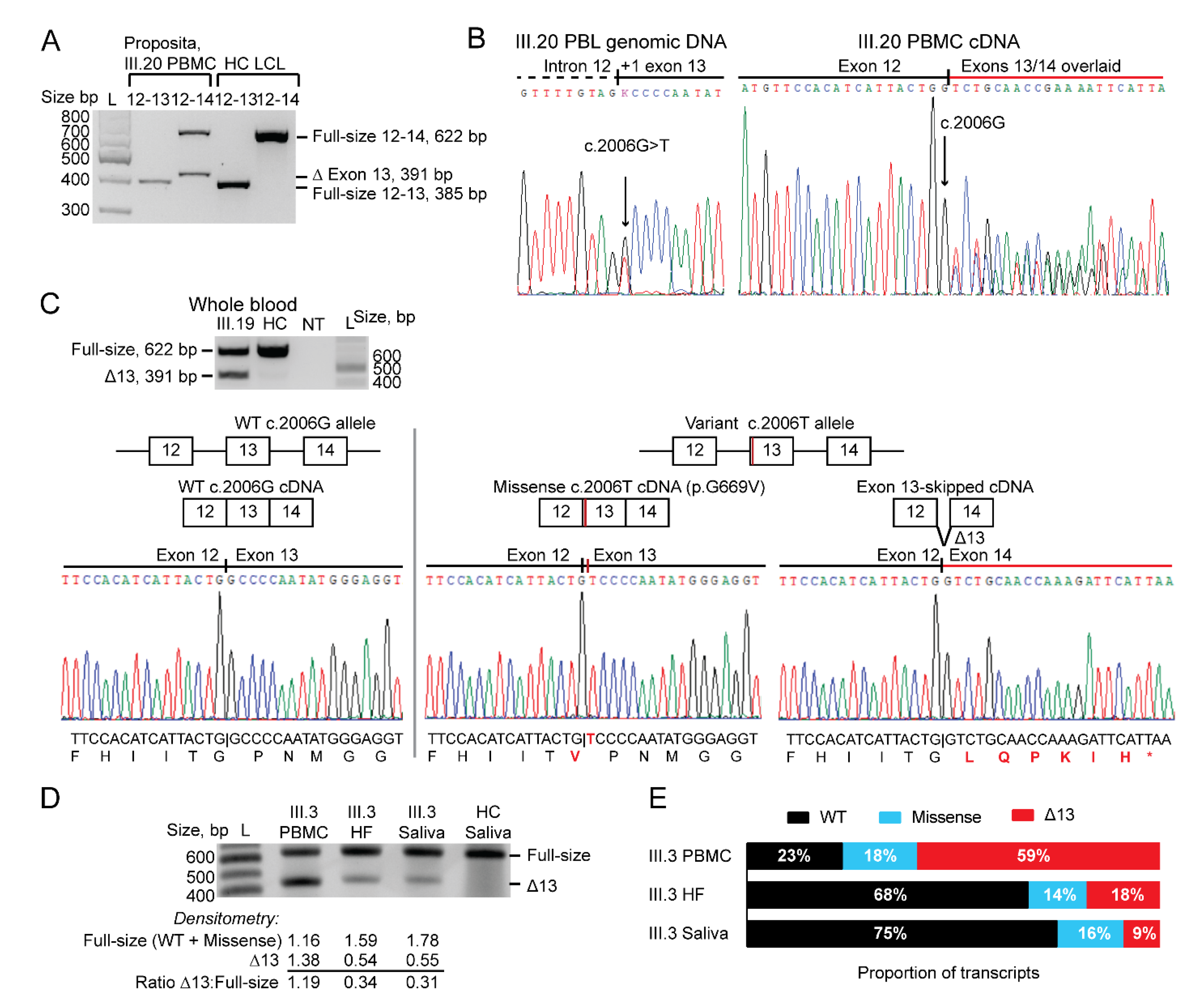 Cancers 15 00228 g004 Cancers 15 00228 g004