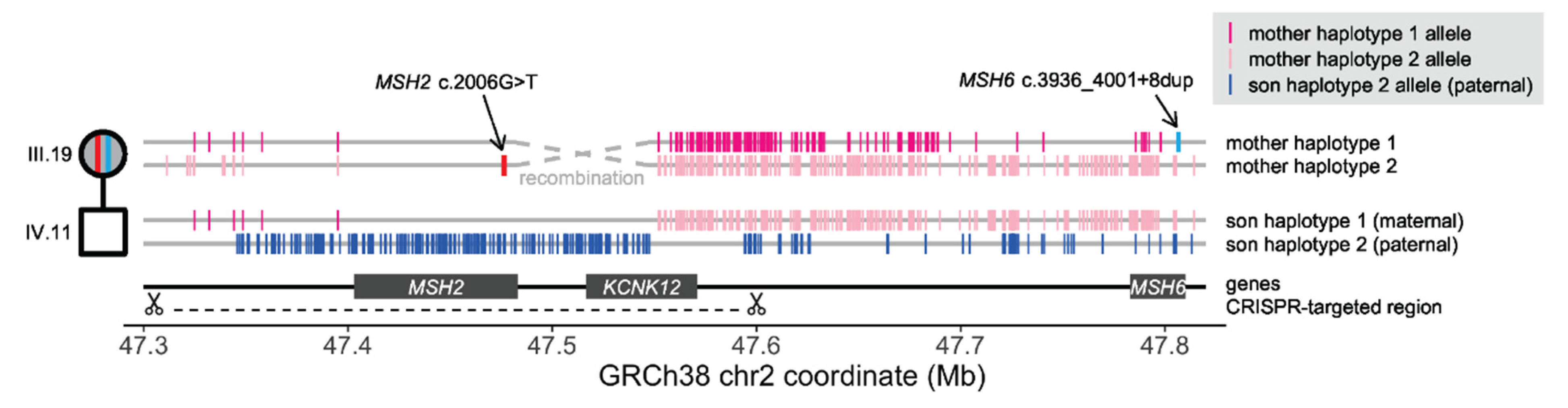 Cancers 15 00228 g007 Cancers 15 00228 g007