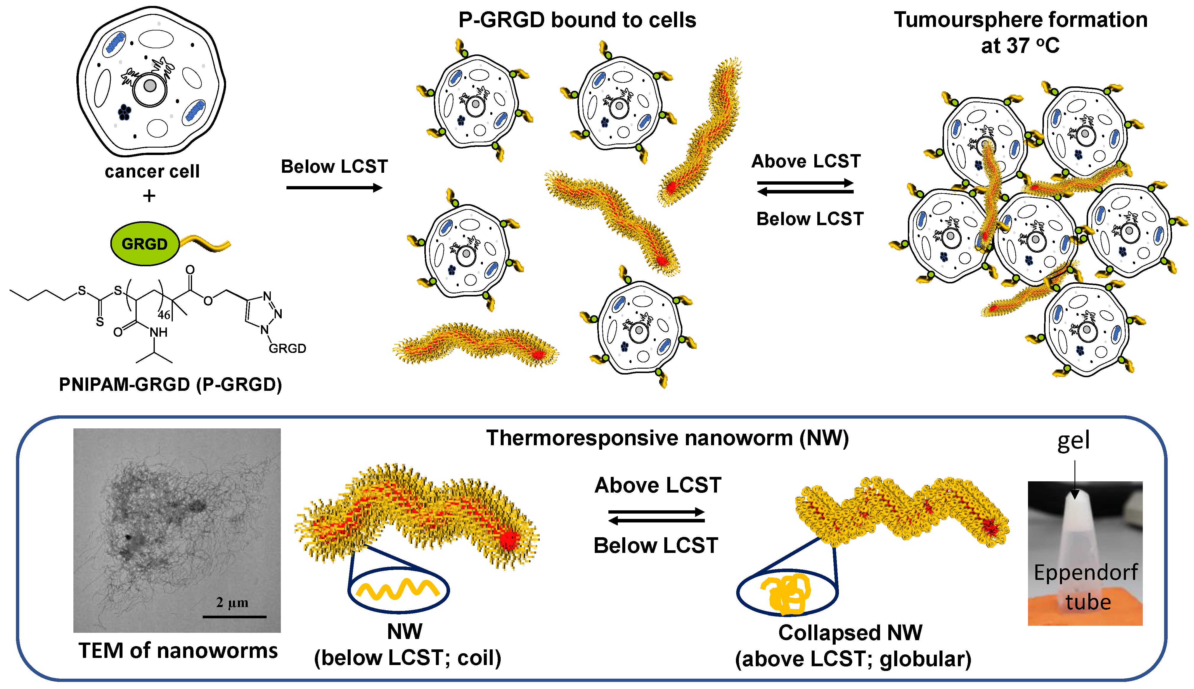 Cancers 15 00234 g001