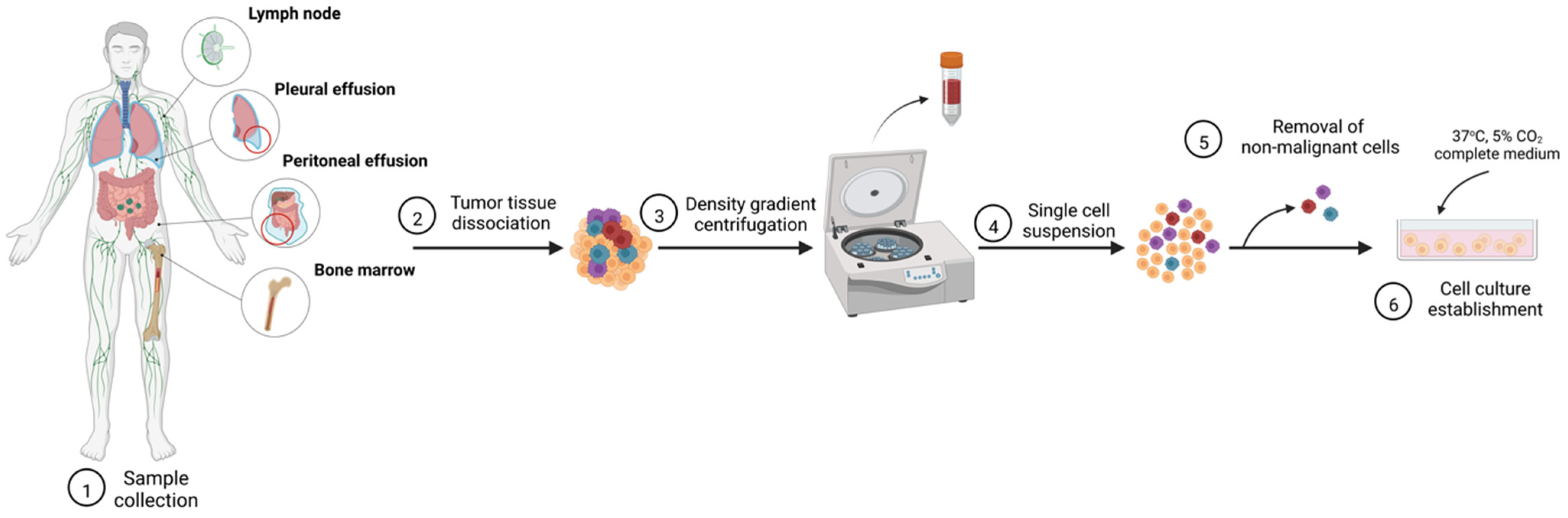 Cancers 15 00235 g001 Cancers 15 00235 g001