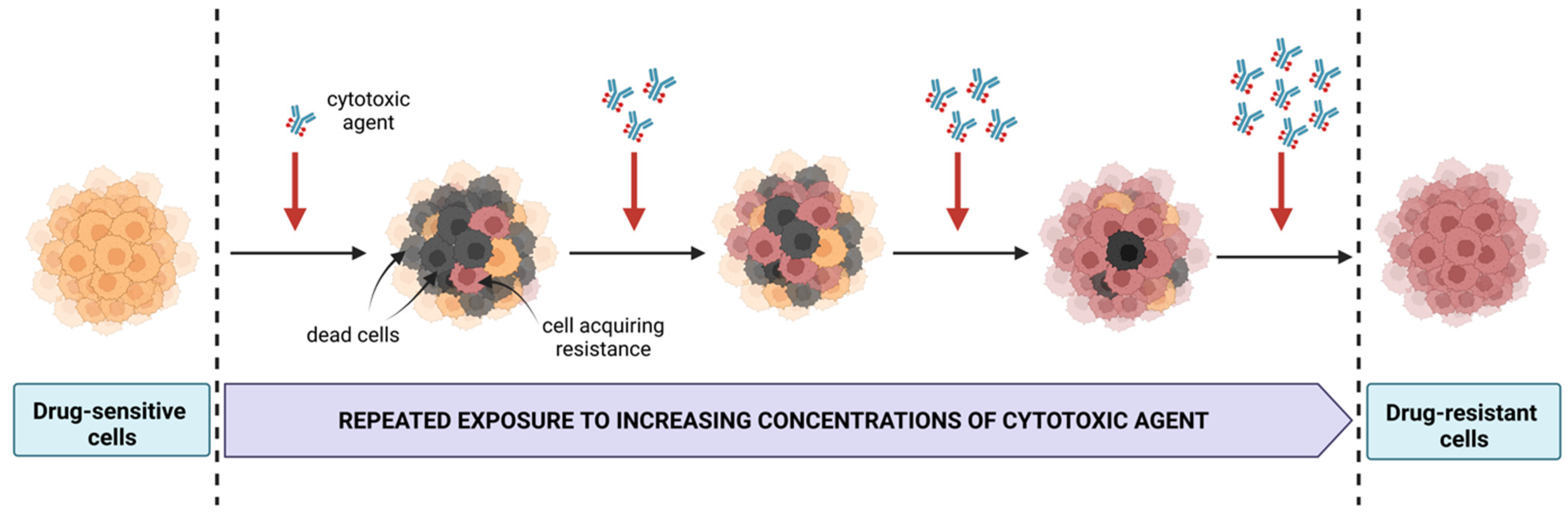 Cancers 15 00235 g002 Cancers 15 00235 g002